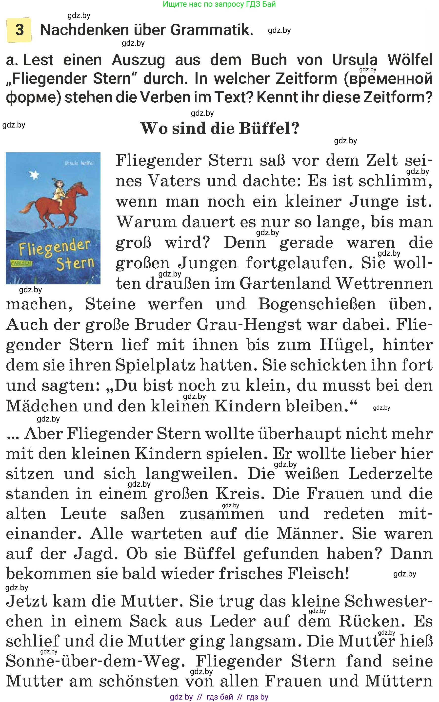 Немецкий язык (Deutsch), 6 класс Учебник (Schülerbuch), авторы: Будько Антонина Филипповна (Budjko Antonina), Урбанович Инна Ювинальевна (Urbanowitsch Ina), издательство Вышэйшая школа, Минск, 2020, бежевого цвета, страница 79, номер a, Условие