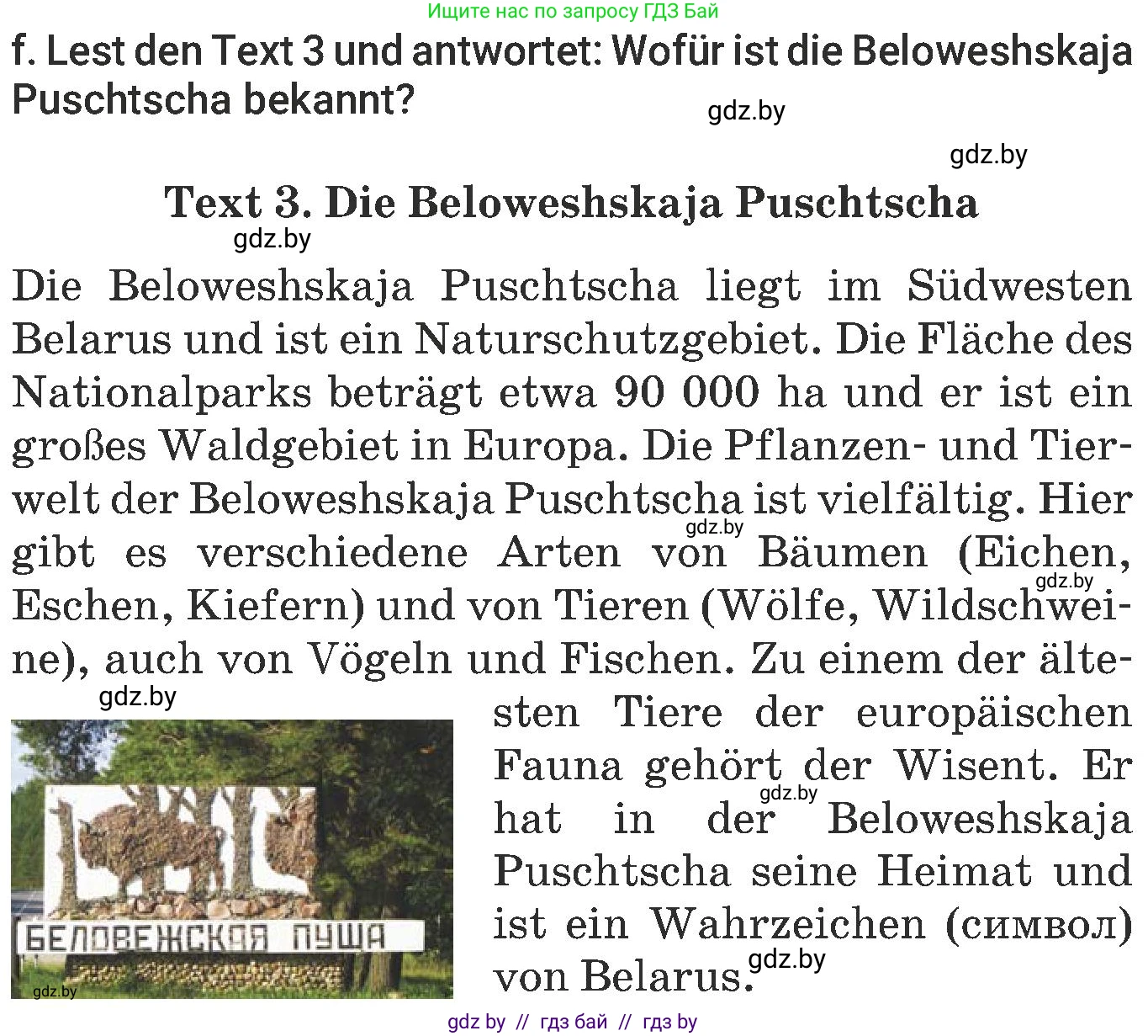 Немецкий язык (Deutsch), 6 класс Учебник (Schülerbuch), авторы: Будько Антонина Филипповна (Budjko Antonina), Урбанович Инна Ювинальевна (Urbanowitsch Ina), издательство Вышэйшая школа, Минск, 2020, бежевого цвета, страница 246, номер f, Условие