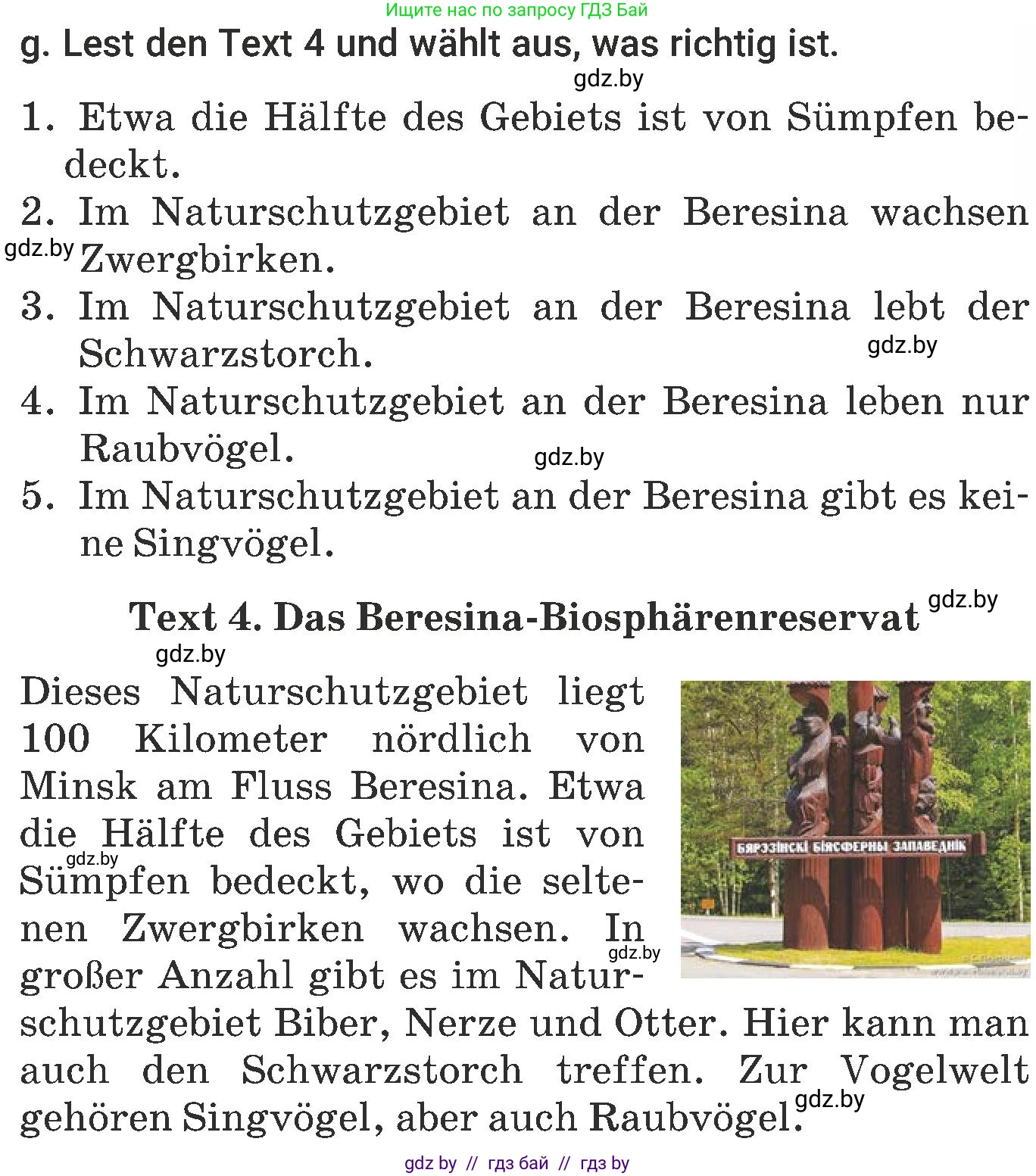 Немецкий язык (Deutsch), 6 класс Учебник (Schülerbuch), авторы: Будько Антонина Филипповна (Budjko Antonina), Урбанович Инна Ювинальевна (Urbanowitsch Ina), издательство Вышэйшая школа, Минск, 2020, бежевого цвета, страница 247, номер g, Условие