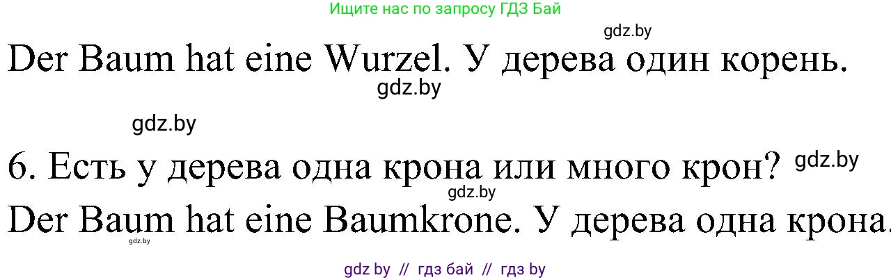 Немецкий язык (Deutsch), 6 класс Учебник (Schülerbuch), авторы: Будько Антонина Филипповна (Budjko Antonina), Урбанович Инна Ювинальевна (Urbanowitsch Ina), издательство Вышэйшая школа, Минск, 2020, бежевого цвета, страница 176, номер e, Решение (продолжение 2)