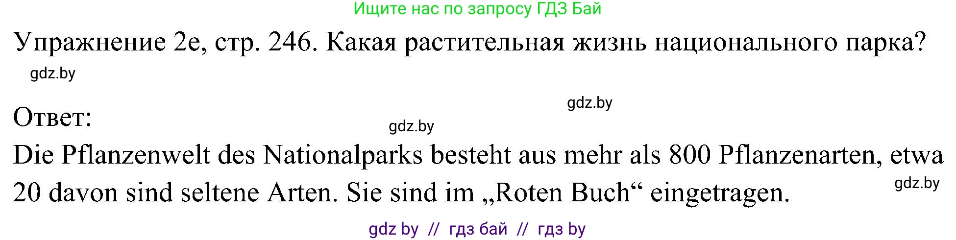 Немецкий язык (Deutsch), 6 класс Учебник (Schülerbuch), авторы: Будько Антонина Филипповна (Budjko Antonina), Урбанович Инна Ювинальевна (Urbanowitsch Ina), издательство Вышэйшая школа, Минск, 2020, бежевого цвета, страница 246, номер e, Решение