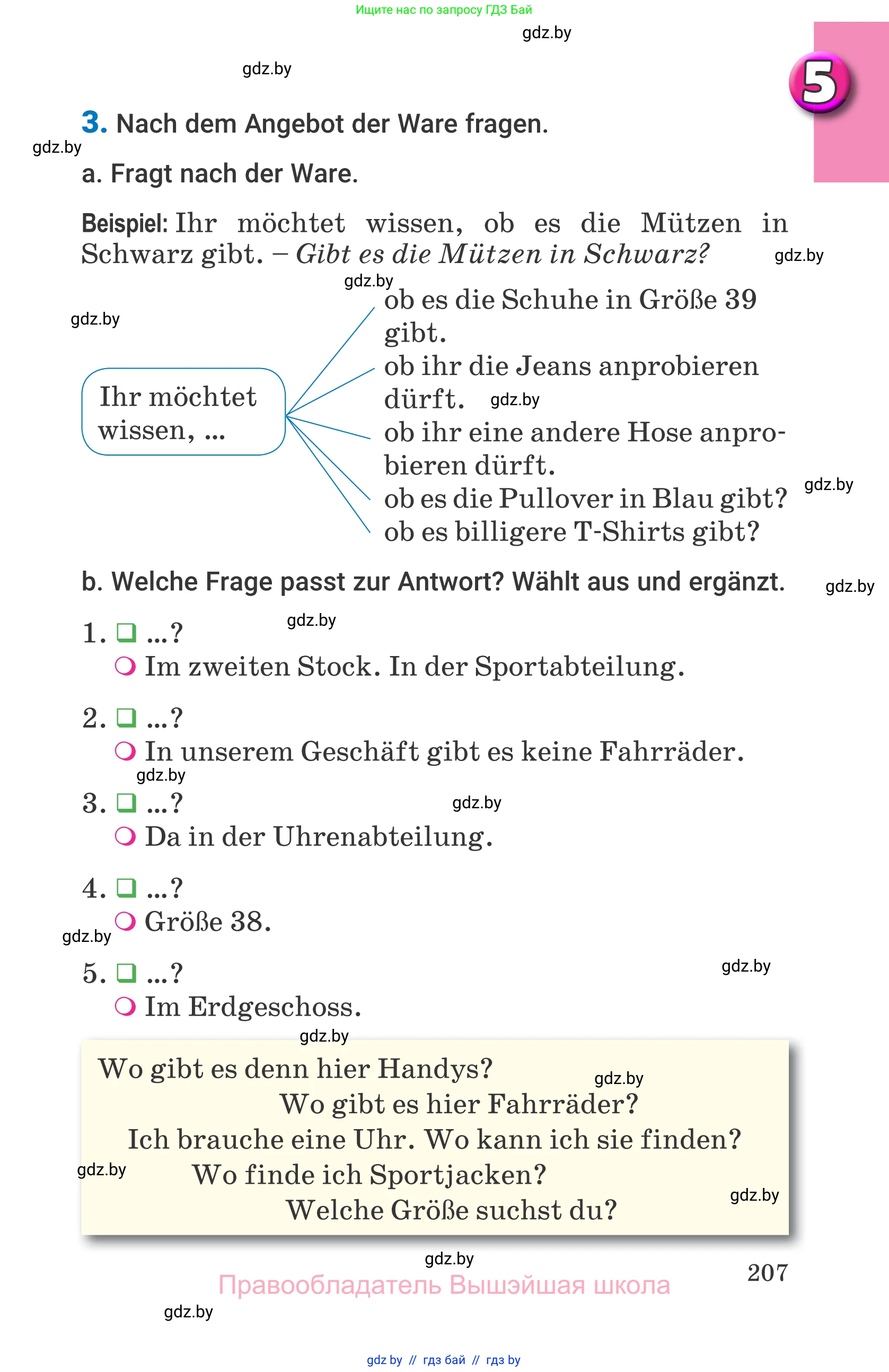 Немецкий язык (Deutsch), 7 класс Учебник (Schülerbuch), авторы: Будько Антонина Филипповна (Budjko Antonina), Урбанович Инна Ювинальевна (Urbanowitsch Ina), издательство Вышэйшая школа, Минск, 2021, страница 207