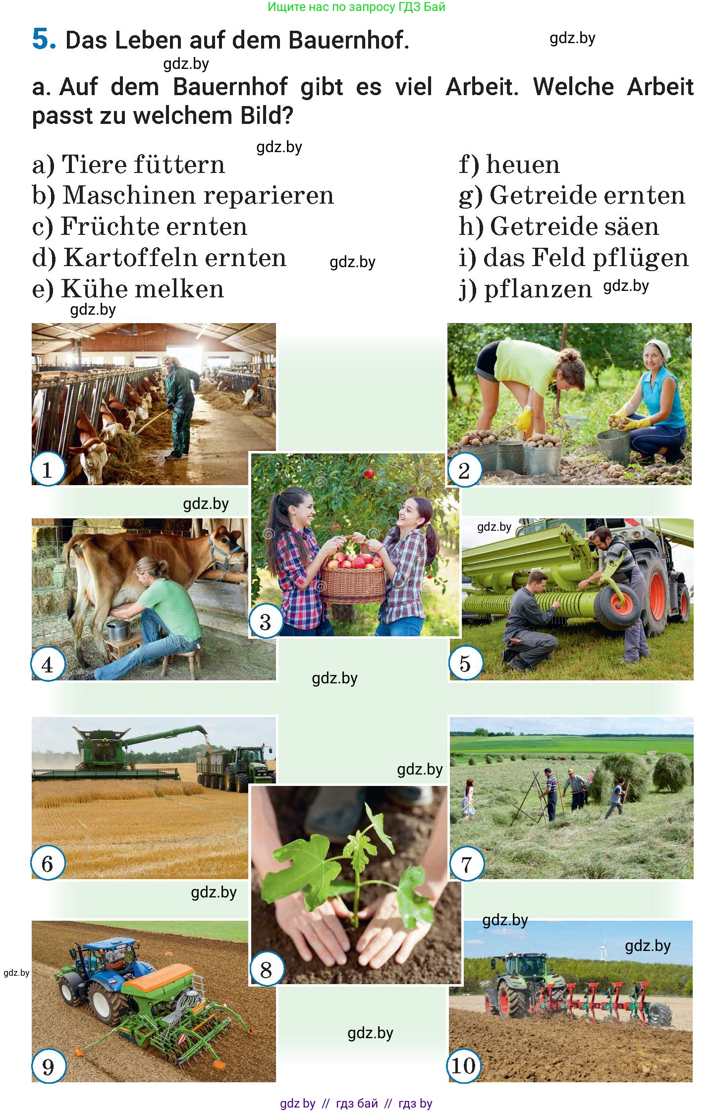 Немецкий язык (Deutsch), 7 класс Учебник (Schülerbuch), авторы: Будько Антонина Филипповна (Budjko Antonina), Урбанович Инна Ювинальевна (Urbanowitsch Ina), издательство Вышэйшая школа, Минск, 2021, страница 158, номер 5, Условие