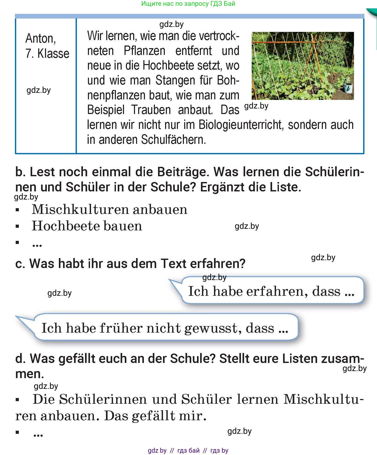 Немецкий язык (Deutsch), 7 класс Учебник (Schülerbuch), авторы: Будько Антонина Филипповна (Budjko Antonina), Урбанович Инна Ювинальевна (Urbanowitsch Ina), издательство Вышэйшая школа, Минск, 2021, страница 161, номер 6, Условие (продолжение 3)