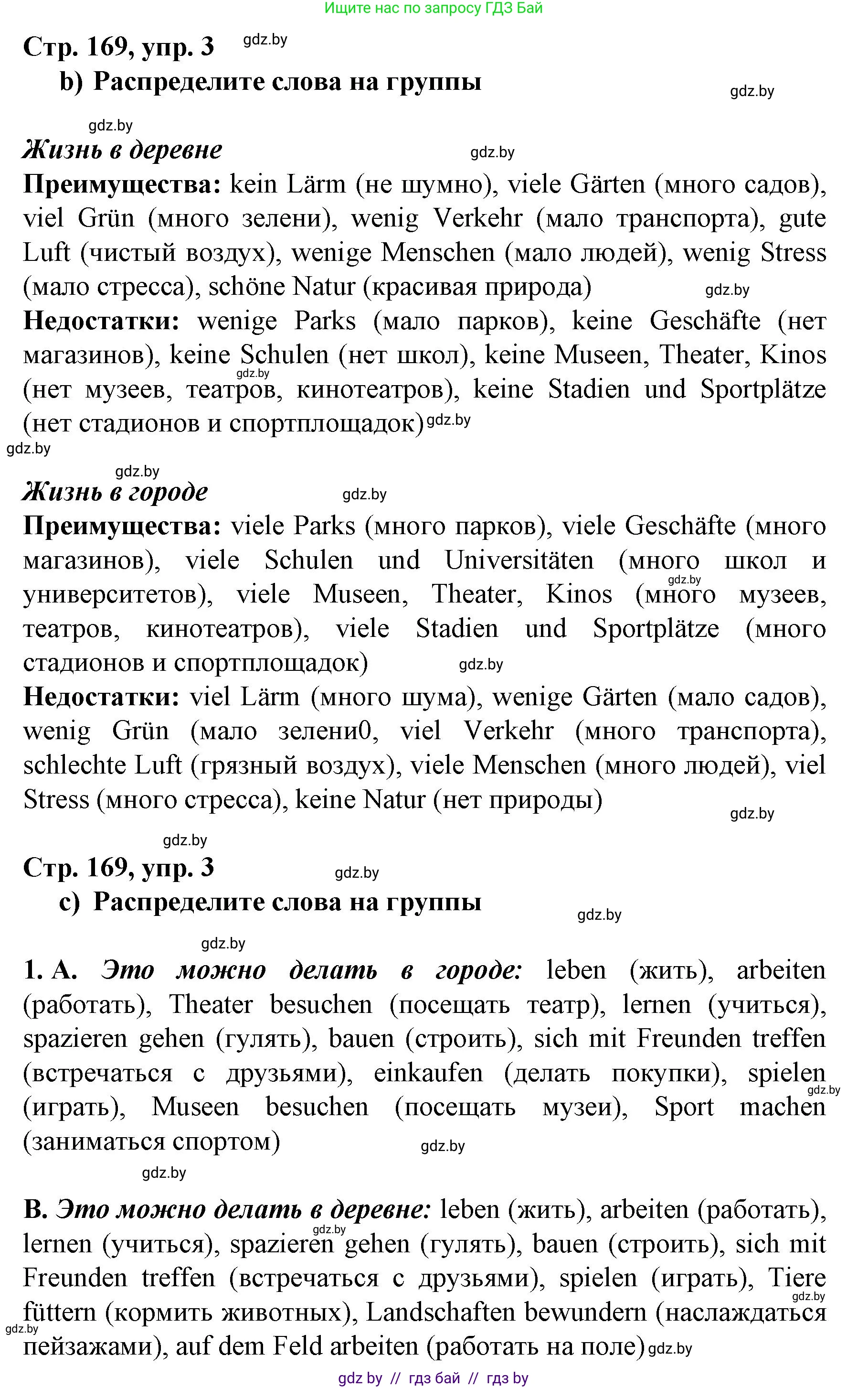 Немецкий язык (Deutsch), 7 класс Учебник (Schülerbuch), авторы: Будько Антонина Филипповна (Budjko Antonina), Урбанович Инна Ювинальевна (Urbanowitsch Ina), издательство Вышэйшая школа, Минск, 2021, страница 169, номер 3, Решение (продолжение 2)