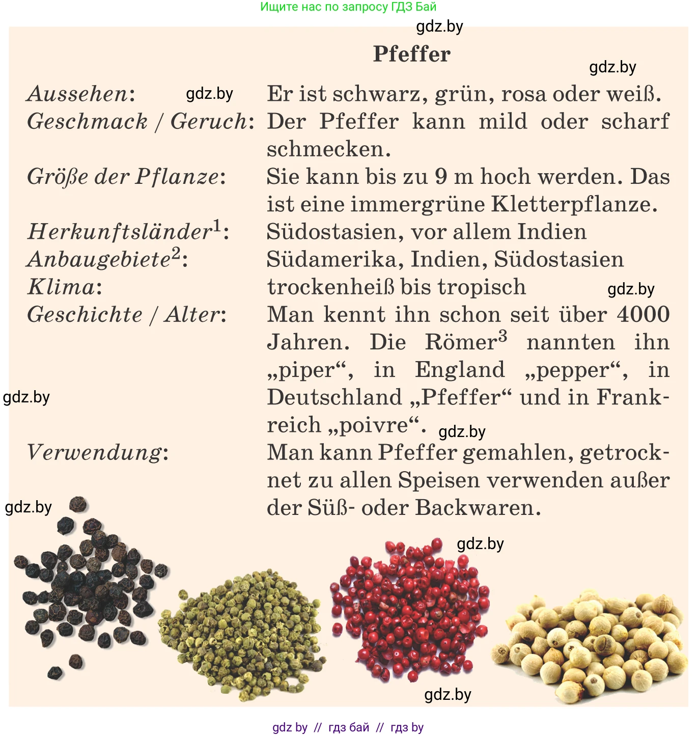 Немецкий язык (Deutsch), 8 класс Учебник (Schülerbuch), авторы: Будько Антонина Филипповна (Budjko Antonina), Урбанович Инна Ювинальевна (Urbanowitsch Ina), издательство Вышэйшая школа, Минск, 2018, страница 226, номер 9f, Условие (продолжение 2)