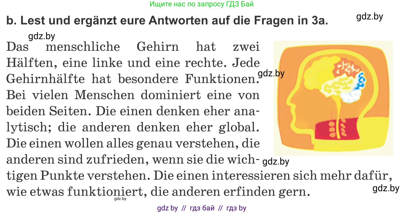 Немецкий язык (Deutsch), 9 класс Учебник (Schülerbuch), авторы: Будько Антонина Филипповна (Budjko Antonina), Урбанович Инна Ювинальевна (Urbanowitsch Ina), издательство Вышэйшая школа, Минск, 2018, серого цвета, страница 10, номер 3b, Условие