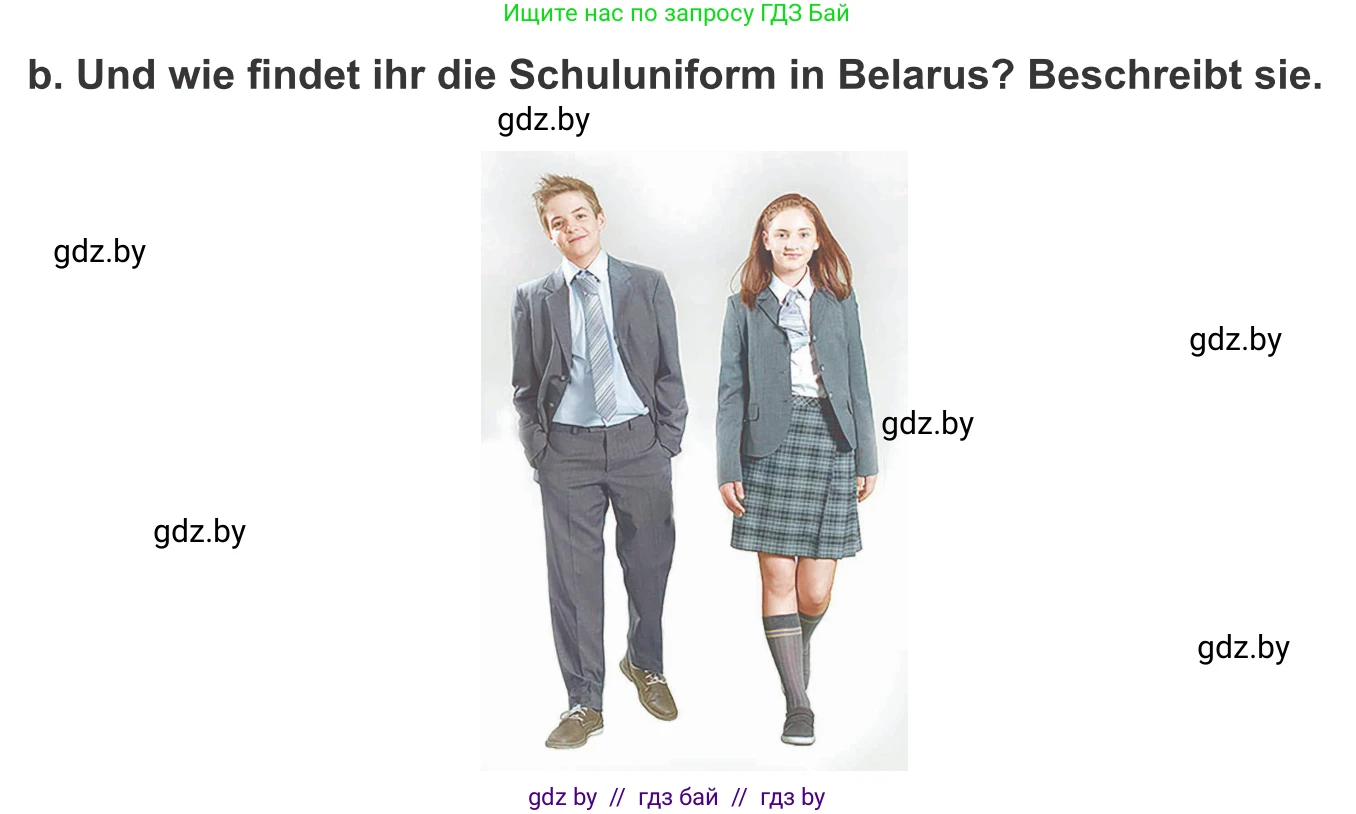 Немецкий язык (Deutsch), 9 класс Учебник (Schülerbuch), авторы: Будько Антонина Филипповна (Budjko Antonina), Урбанович Инна Ювинальевна (Urbanowitsch Ina), издательство Вышэйшая школа, Минск, 2018, серого цвета, страница 154, номер 3b, Условие