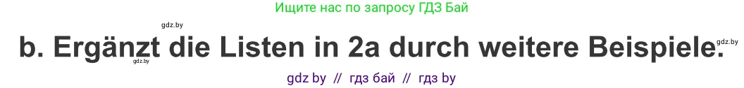 Немецкий язык (Deutsch), 9 класс Учебник (Schülerbuch), авторы: Будько Антонина Филипповна (Budjko Antonina), Урбанович Инна Ювинальевна (Urbanowitsch Ina), издательство Вышэйшая школа, Минск, 2018, серого цвета, страница 172, номер 2b, Условие