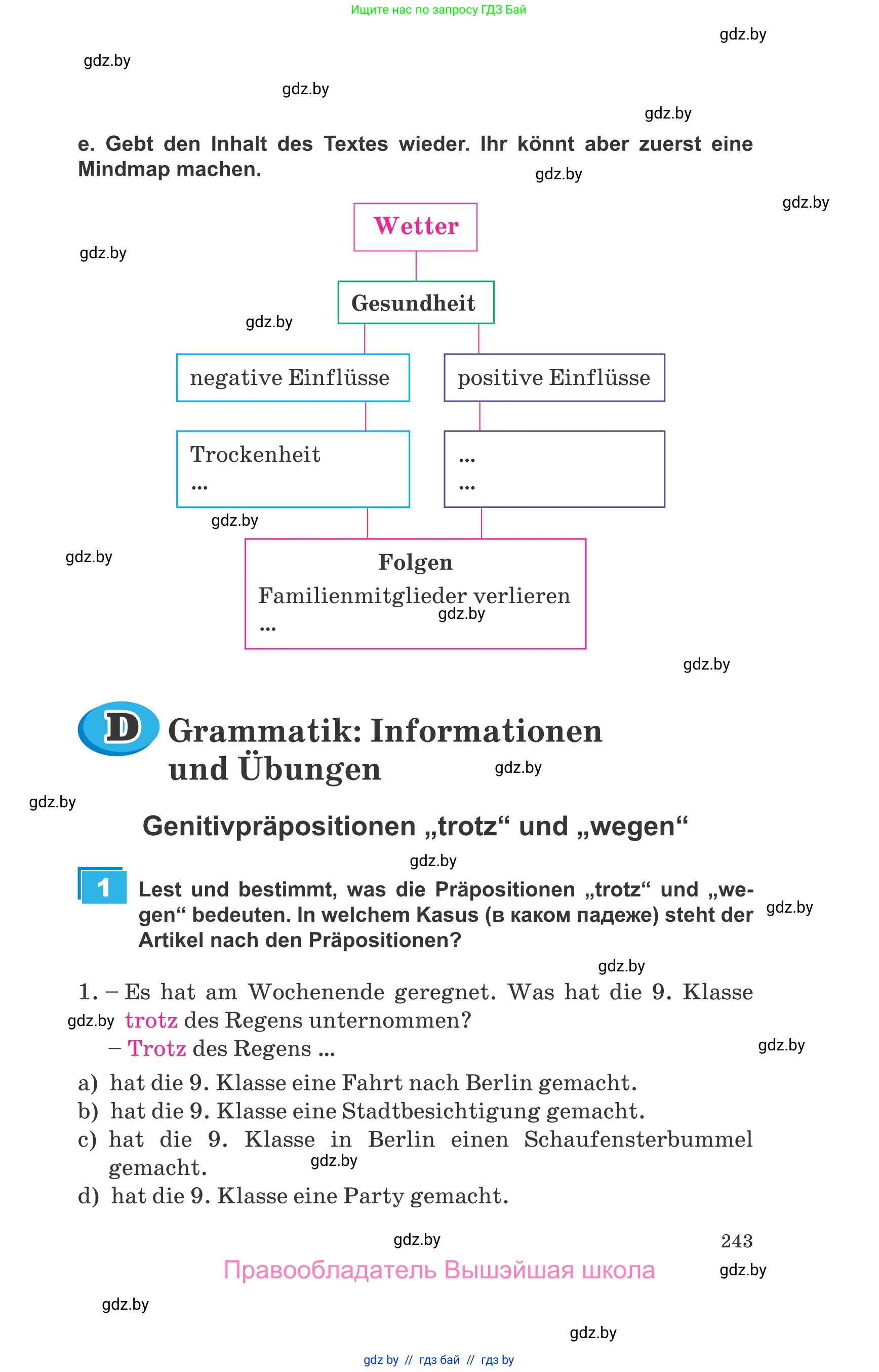 Немецкий язык (Deutsch), 9 класс Учебник (Schülerbuch), авторы: Будько Антонина Филипповна (Budjko Antonina), Урбанович Инна Ювинальевна (Urbanowitsch Ina), издательство Вышэйшая школа, Минск, 2018, серого цвета, страница 243