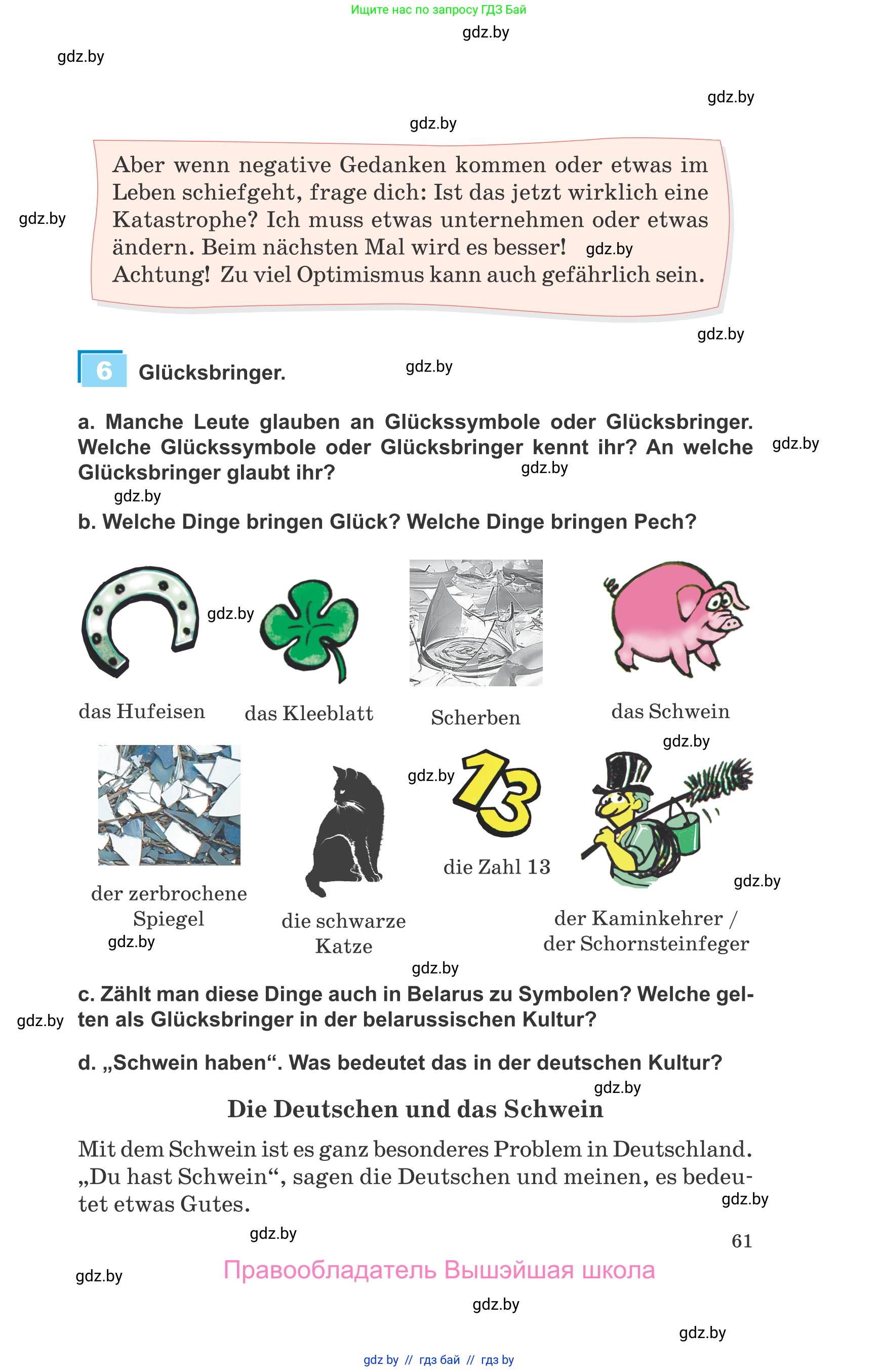 Немецкий язык (Deutsch), 9 класс Учебник (Schülerbuch), авторы: Будько Антонина Филипповна (Budjko Antonina), Урбанович Инна Ювинальевна (Urbanowitsch Ina), издательство Вышэйшая школа, Минск, 2018, серого цвета, страница 61