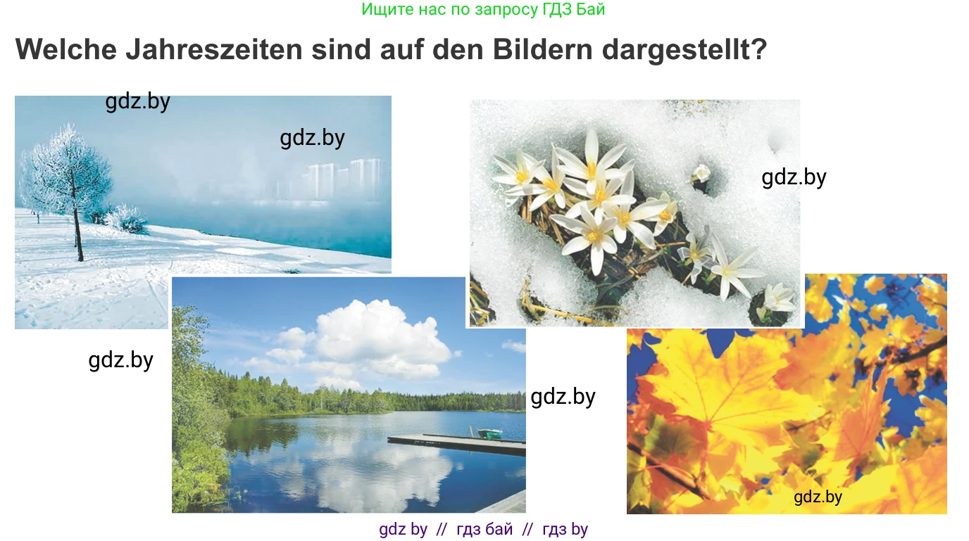 Немецкий язык (Deutsch), 9 класс Учебник (Schülerbuch), авторы: Будько Антонина Филипповна (Budjko Antonina), Урбанович Инна Ювинальевна (Urbanowitsch Ina), издательство Вышэйшая школа, Минск, 2018, серого цвета, страница 215, номер 1, Условие