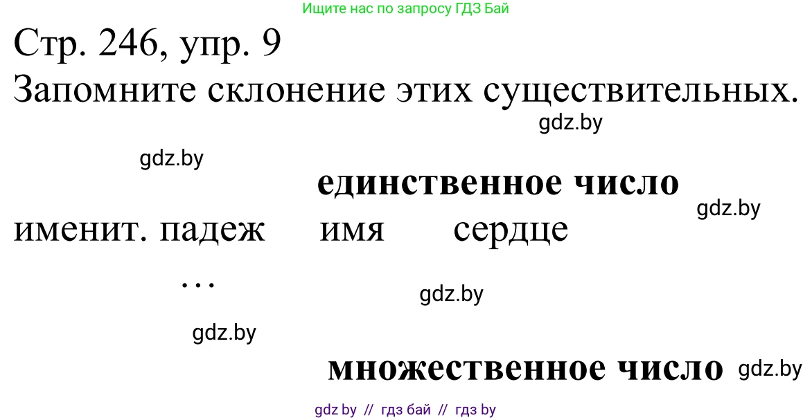Немецкий язык (Deutsch), 9 класс Учебник (Schülerbuch), авторы: Будько Антонина Филипповна (Budjko Antonina), Урбанович Инна Ювинальевна (Urbanowitsch Ina), издательство Вышэйшая школа, Минск, 2018, серого цвета, страница 246, номер 9, Решение