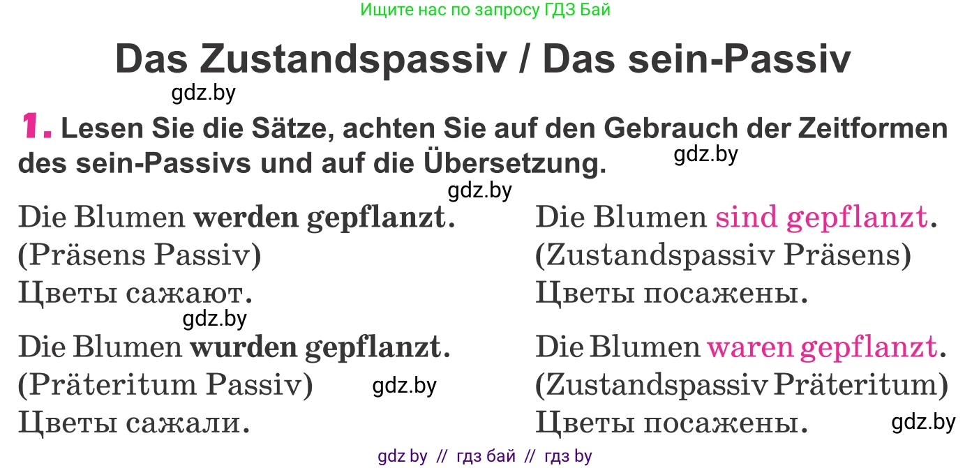 Немецкий язык (Deutsch), 10 класс Учебник (Schülerbuch), авторы: Будько Антонина Филипповна (Budjko Antonina), Урбанович Инна Ювинальевна (Urbanowitsch Ina), издательство Вышэйшая школа, Минск, 2018, оранжевого цвета, страница 288, номер 1, Условие