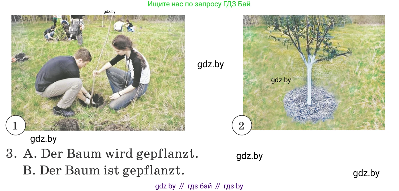 Немецкий язык (Deutsch), 10 класс Учебник (Schülerbuch), авторы: Будько Антонина Филипповна (Budjko Antonina), Урбанович Инна Ювинальевна (Urbanowitsch Ina), издательство Вышэйшая школа, Минск, 2018, оранжевого цвета, страница 288, номер 3, Условие (продолжение 2)