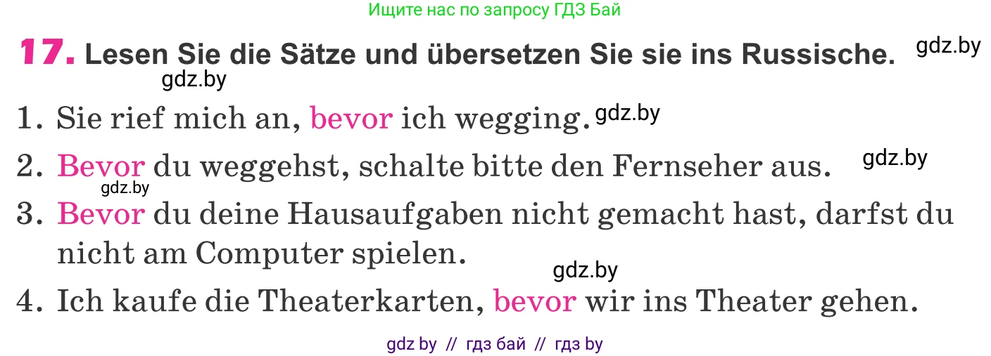 Немецкий язык (Deutsch), 10 класс Учебник (Schülerbuch), авторы: Будько Антонина Филипповна (Budjko Antonina), Урбанович Инна Ювинальевна (Urbanowitsch Ina), издательство Вышэйшая школа, Минск, 2018, оранжевого цвета, страница 299, номер 17, Условие