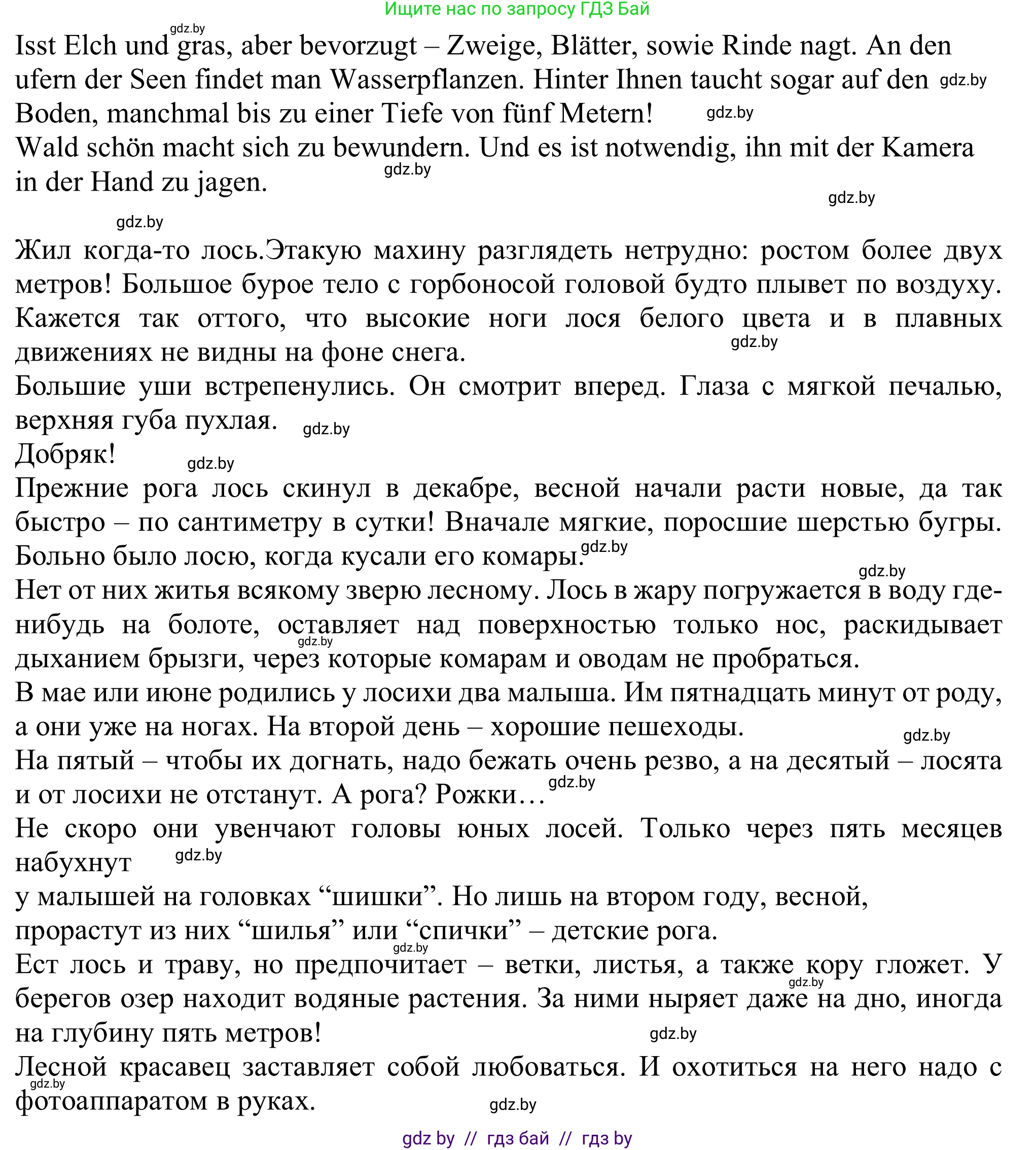 Немецкий язык (Deutsch), 11 класс Учебник (Schülerbuch), авторы: Будько Антонина Филипповна (Budjko Antonina), Урбанович Инна Ювинальевна (Urbanowitsch Ina), издательство Вышэйшая школа, Минск, 2019, бирюзового цвета, страница 177, номер 3b, Решение (продолжение 2)