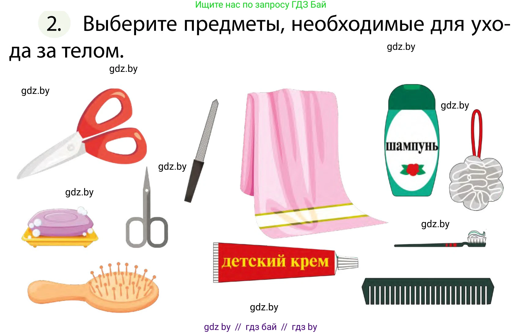 Обж, 2 класс Учебник, авторы: Аброськина Татьяна Юрьевна, Кузнецова Лилия Фёдоровна, Одновол Людмила Алексеевна, издательство Адукацыя i выхаванне, Минск, 2024, салатового цвета, страница 123, номер 2, Условие