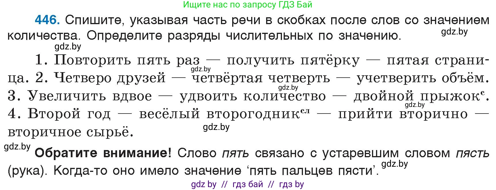 Русский язык, 6 класс Учебник, авторы: Мурина Лариса Александровна, Игнатович Татьяна Владимировна, Жадейко Жанна Фёдоровна, издательство Национальный институт образования, Минск, 2020, страница 199, номер 446, Условие