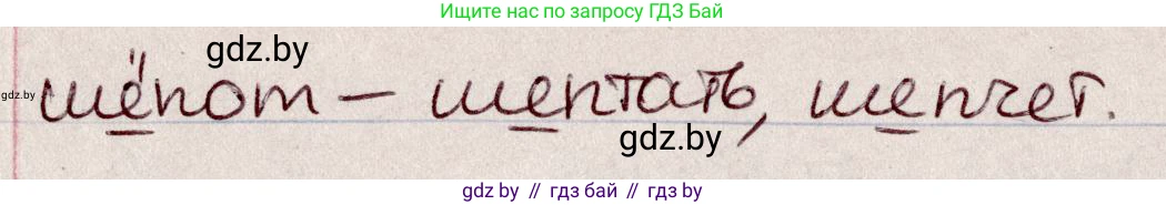 Русский язык, 6 класс Учебник, авторы: Мурина Лариса Александровна, Игнатович Татьяна Владимировна, Жадейко Жанна Фёдоровна, издательство Национальный институт образования, Минск, 2020, страница 13, номер 17, Решение 2 (продолжение 2)