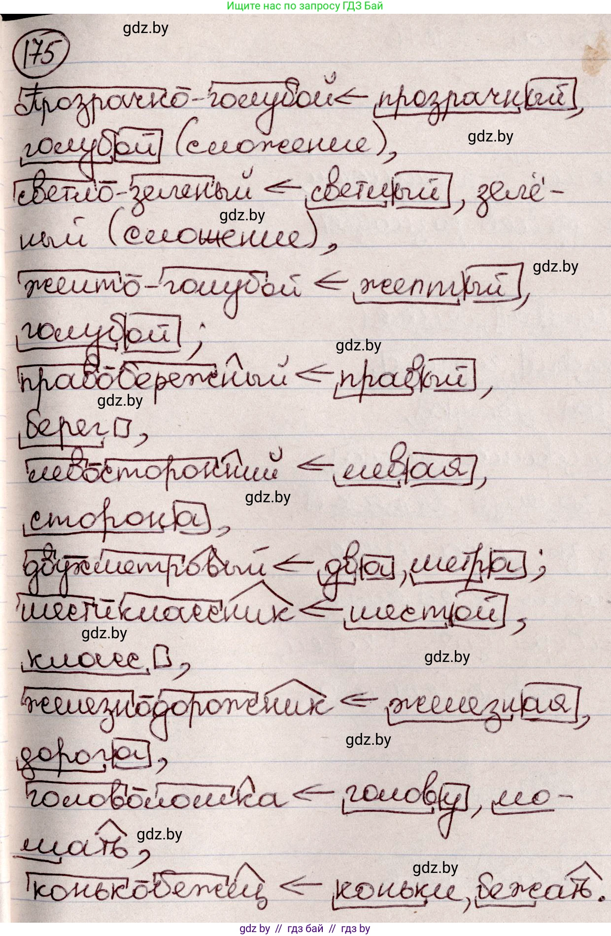 Русский язык, 6 класс Учебник, авторы: Мурина Лариса Александровна, Игнатович Татьяна Владимировна, Жадейко Жанна Фёдоровна, издательство Национальный институт образования, Минск, 2020, страница 81, номер 175, Решение 2