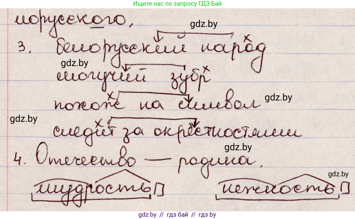 Русский язык, 6 класс Учебник, авторы: Мурина Лариса Александровна, Игнатович Татьяна Владимировна, Жадейко Жанна Фёдоровна, издательство Национальный институт образования, Минск, 2020, страница 3, номер 2, Решение 2 (продолжение 2)