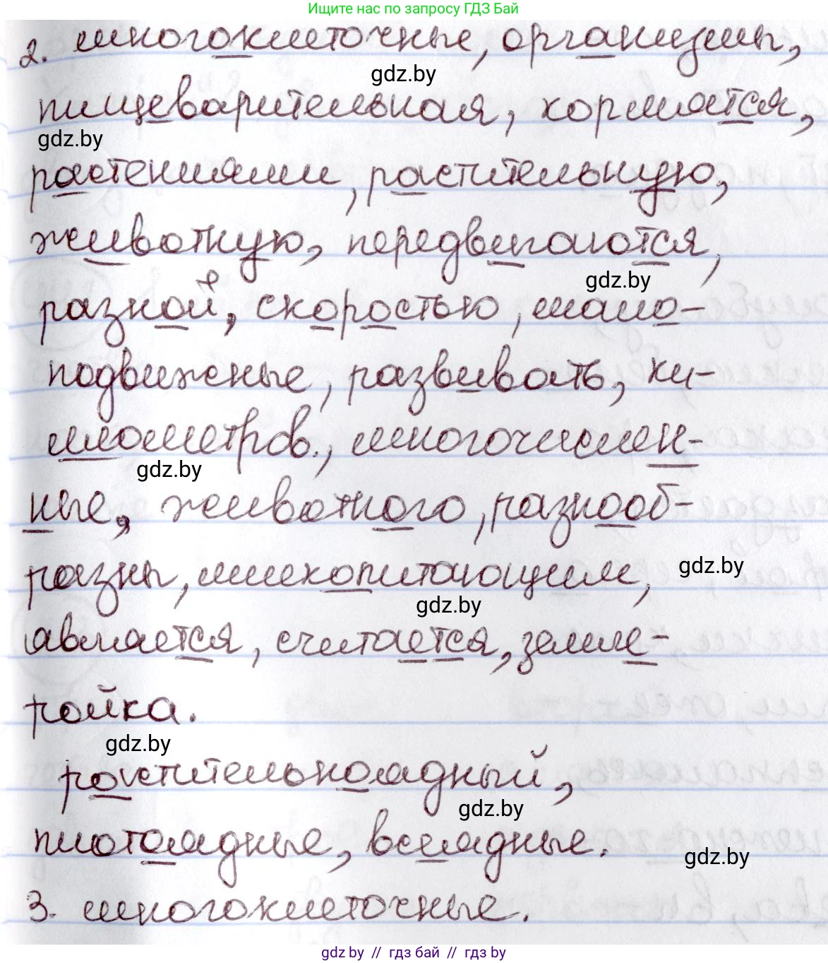 Русский язык, 6 класс Учебник, авторы: Мурина Лариса Александровна, Игнатович Татьяна Владимировна, Жадейко Жанна Фёдоровна, издательство Национальный институт образования, Минск, 2020, страница 195, номер 438, Решение 2 (продолжение 2)