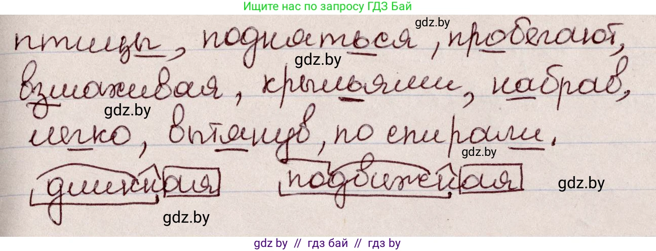 Русский язык, 6 класс Учебник, авторы: Мурина Лариса Александровна, Игнатович Татьяна Владимировна, Жадейко Жанна Фёдоровна, издательство Национальный институт образования, Минск, 2020, страница 28, номер 46, Решение 2 (продолжение 2)