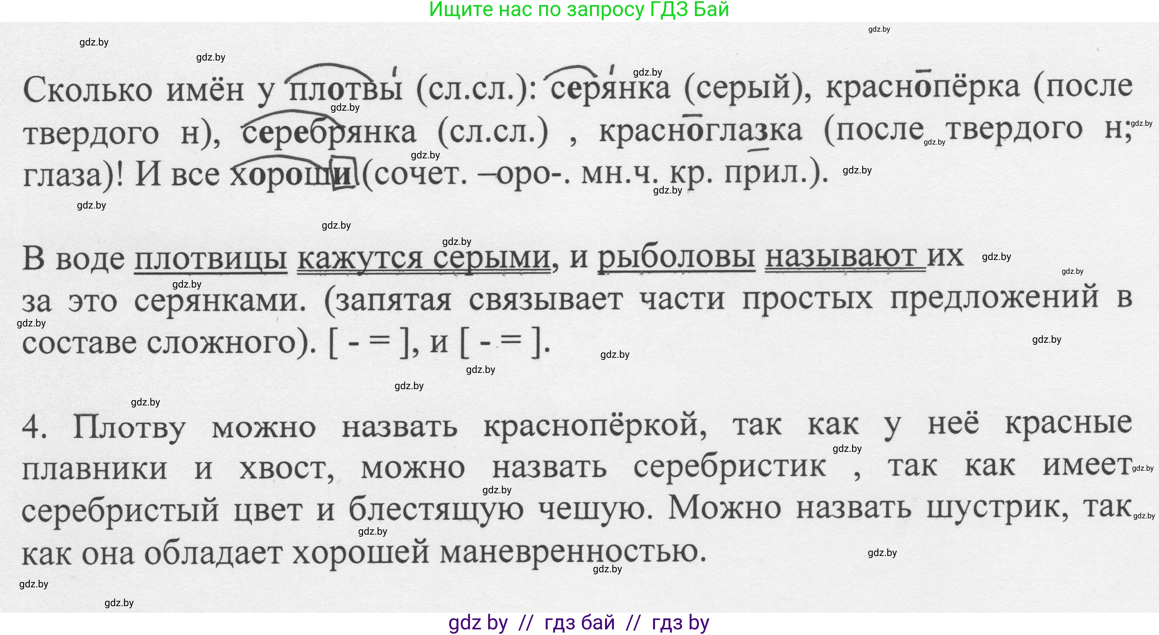 Русский язык, 6 класс Учебник, авторы: Мурина Лариса Александровна, Игнатович Татьяна Владимировна, Жадейко Жанна Фёдоровна, издательство Национальный институт образования, Минск, 2020, страница 66, номер 135, Решение 1 (продолжение 2)