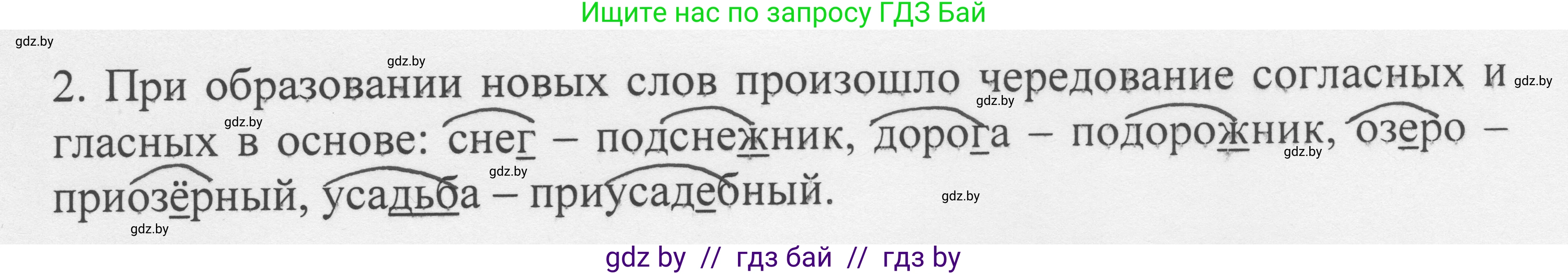 Русский язык, 6 класс Учебник, авторы: Мурина Лариса Александровна, Игнатович Татьяна Владимировна, Жадейко Жанна Фёдоровна, издательство Национальный институт образования, Минск, 2020, страница 77, номер 163, Решение 1 (продолжение 2)