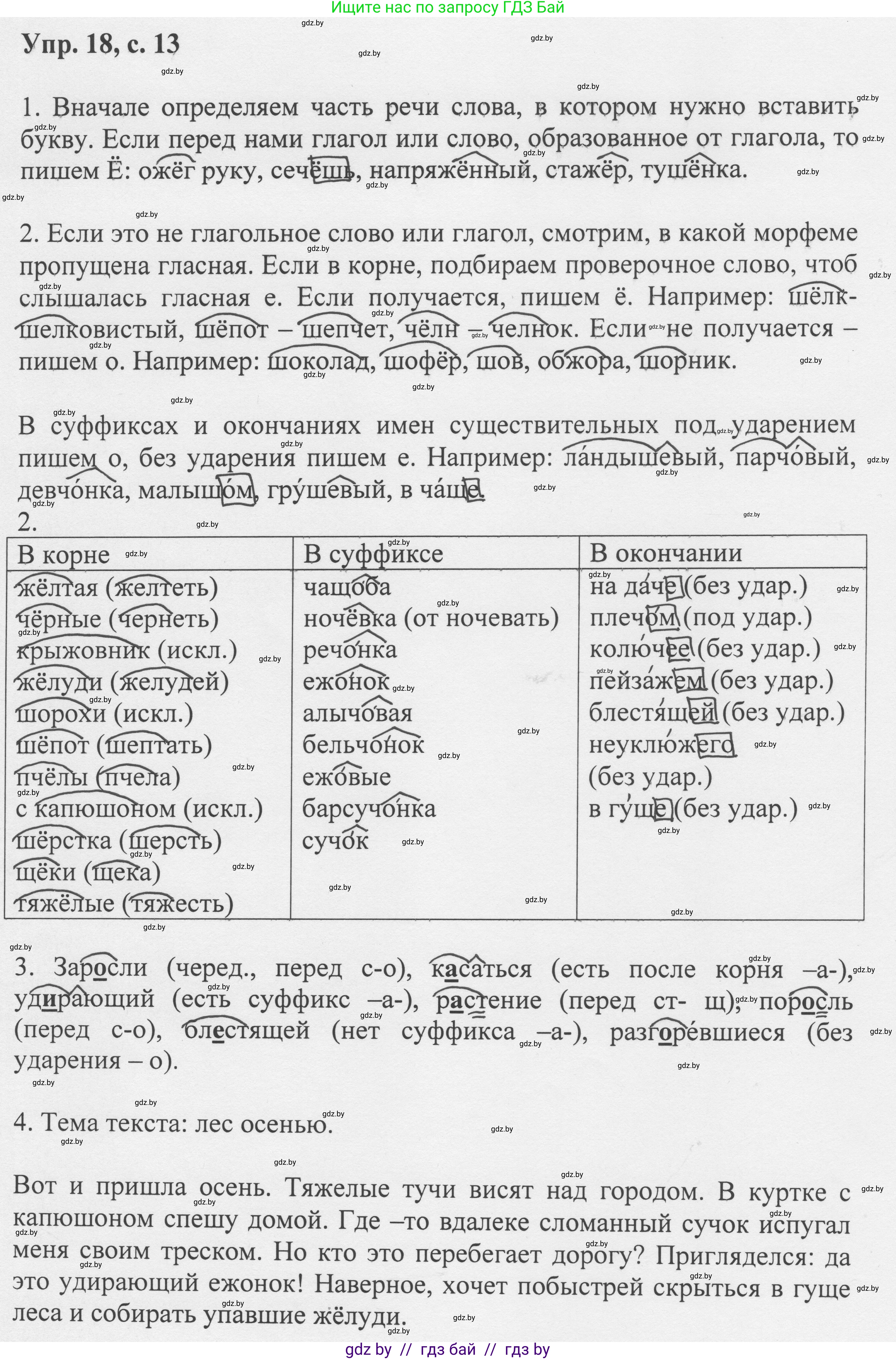 Русский язык, 6 класс Учебник, авторы: Мурина Лариса Александровна, Игнатович Татьяна Владимировна, Жадейко Жанна Фёдоровна, издательство Национальный институт образования, Минск, 2020, страница 13, номер 18, Решение 1