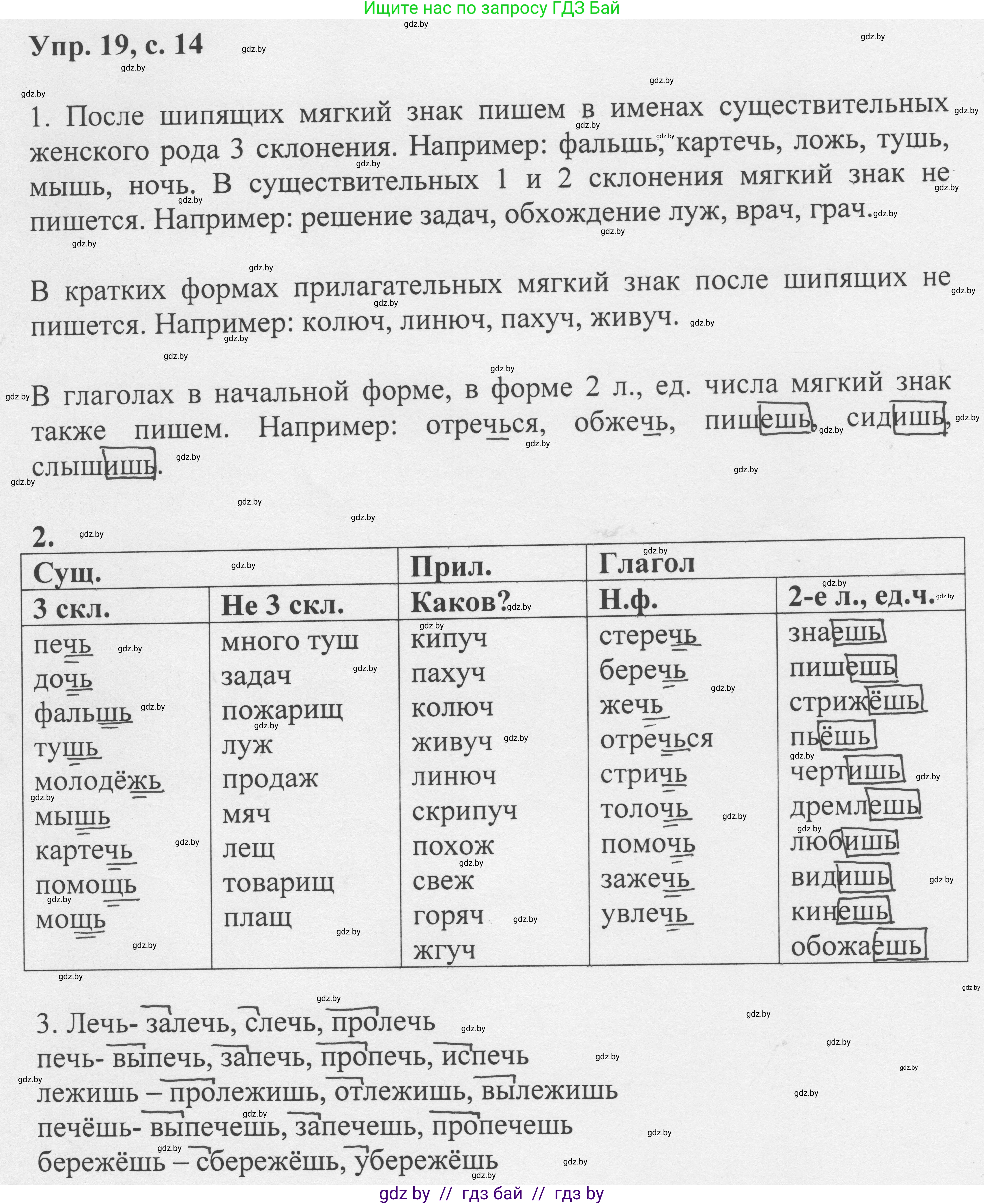 Русский язык, 6 класс Учебник, авторы: Мурина Лариса Александровна, Игнатович Татьяна Владимировна, Жадейко Жанна Фёдоровна, издательство Национальный институт образования, Минск, 2020, страница 14, номер 19, Решение 1