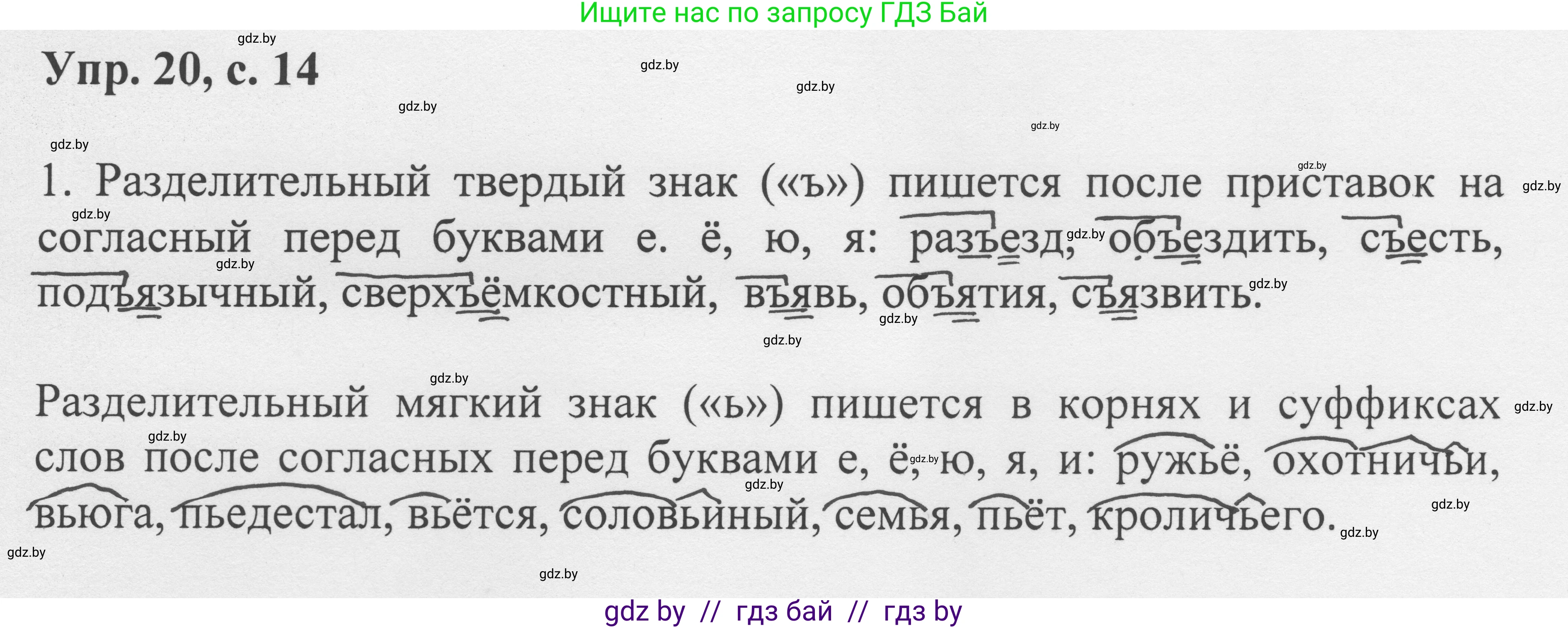 Русский язык, 6 класс Учебник, авторы: Мурина Лариса Александровна, Игнатович Татьяна Владимировна, Жадейко Жанна Фёдоровна, издательство Национальный институт образования, Минск, 2020, страница 14, номер 20, Решение 1