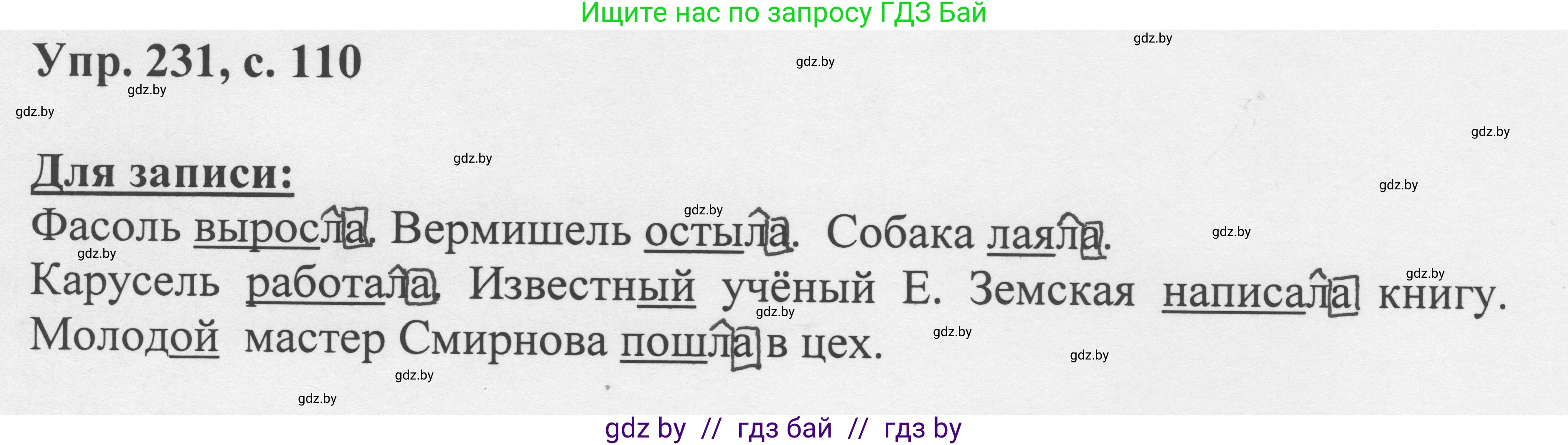 Русский язык, 6 класс Учебник, авторы: Мурина Лариса Александровна, Игнатович Татьяна Владимировна, Жадейко Жанна Фёдоровна, издательство Национальный институт образования, Минск, 2020, страница 110, номер 231, Решение 1