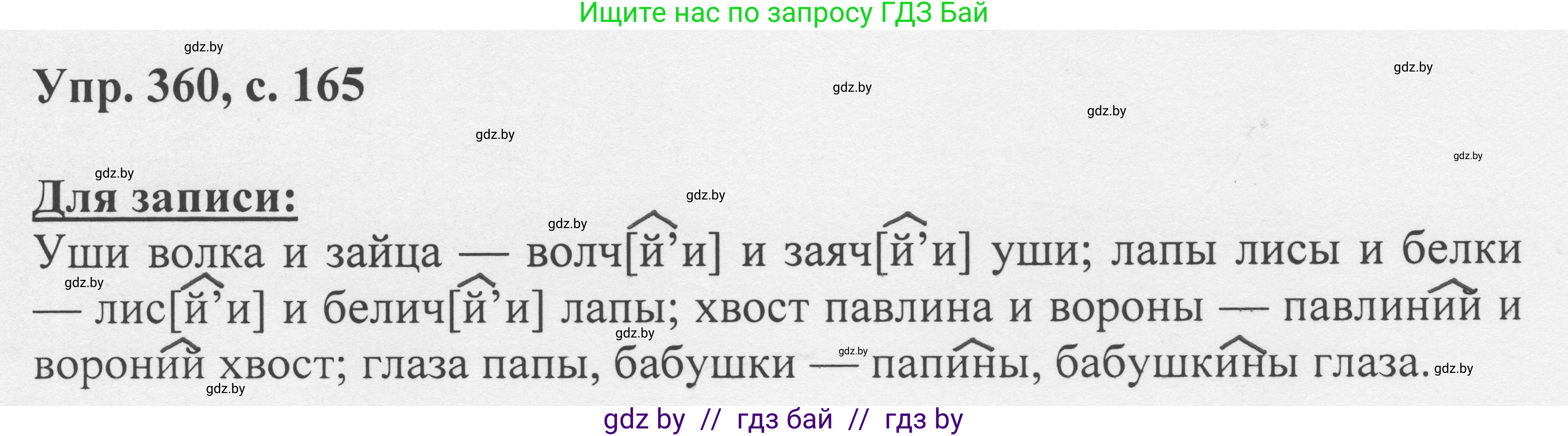 Русский язык, 6 класс Учебник, авторы: Мурина Лариса Александровна, Игнатович Татьяна Владимировна, Жадейко Жанна Фёдоровна, издательство Национальный институт образования, Минск, 2020, страница 165, номер 360, Решение 1