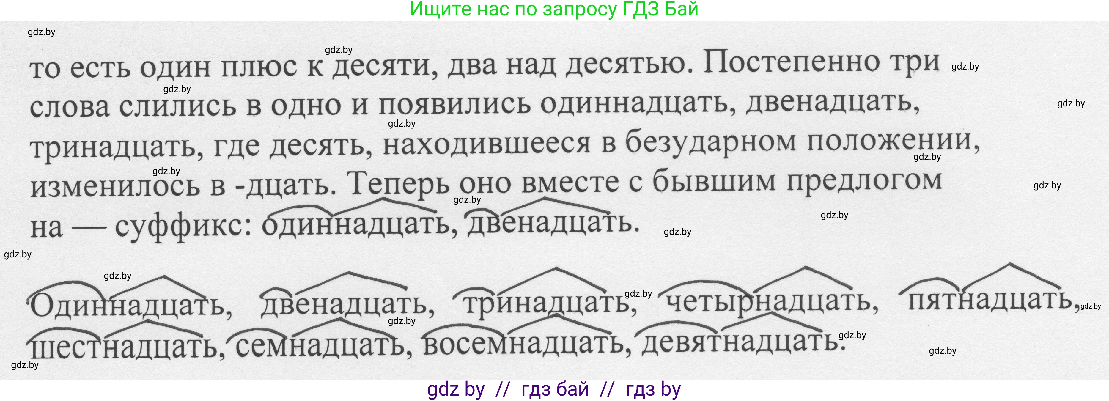Русский язык, 6 класс Учебник, авторы: Мурина Лариса Александровна, Игнатович Татьяна Владимировна, Жадейко Жанна Фёдоровна, издательство Национальный институт образования, Минск, 2020, страница 201, номер 454, Решение 1 (продолжение 2)