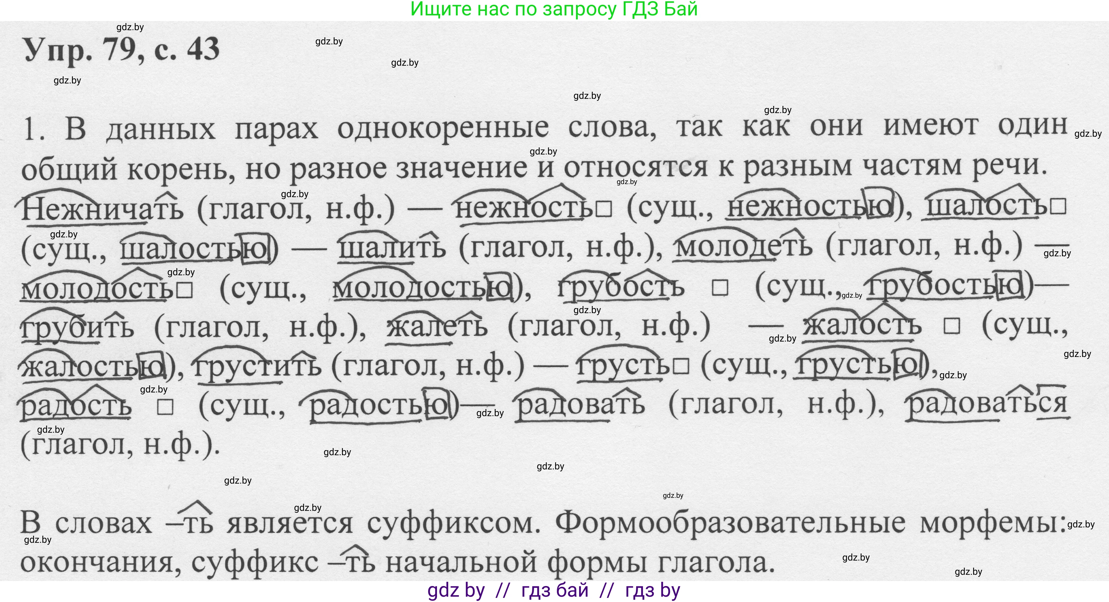 Русский язык, 6 класс Учебник, авторы: Мурина Лариса Александровна, Игнатович Татьяна Владимировна, Жадейко Жанна Фёдоровна, издательство Национальный институт образования, Минск, 2020, страница 43, номер 79, Решение 1