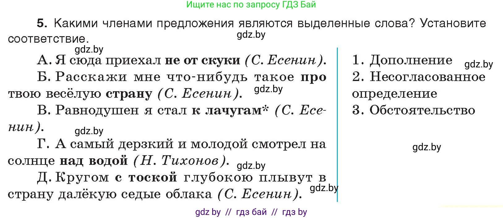 Русский язык, 11 класс Учебник, авторы: Долбик Елена Евгеньевна, Литвинко Франя Михайловна, Мурина Лариса Александровна, Шиманович Т В, Таяновская И В, Орловская О Я, издательство Национальный институт образования, Минск, 2021, страница 251, номер 5, Условие