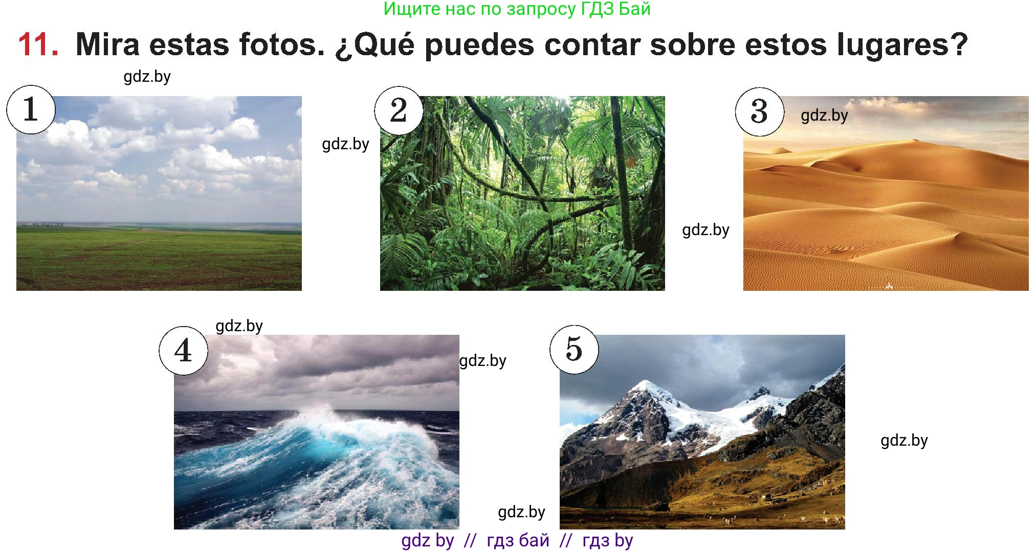 Испанский язык, 5 класс Учебник, авторы: Цыбулева Татьяна Эдуардовна, Пушкина Ольга Александровна, издательство Вышэйшая школа, Минск, 2017, оранжевого цвета, страница 22, номер 11, Условие