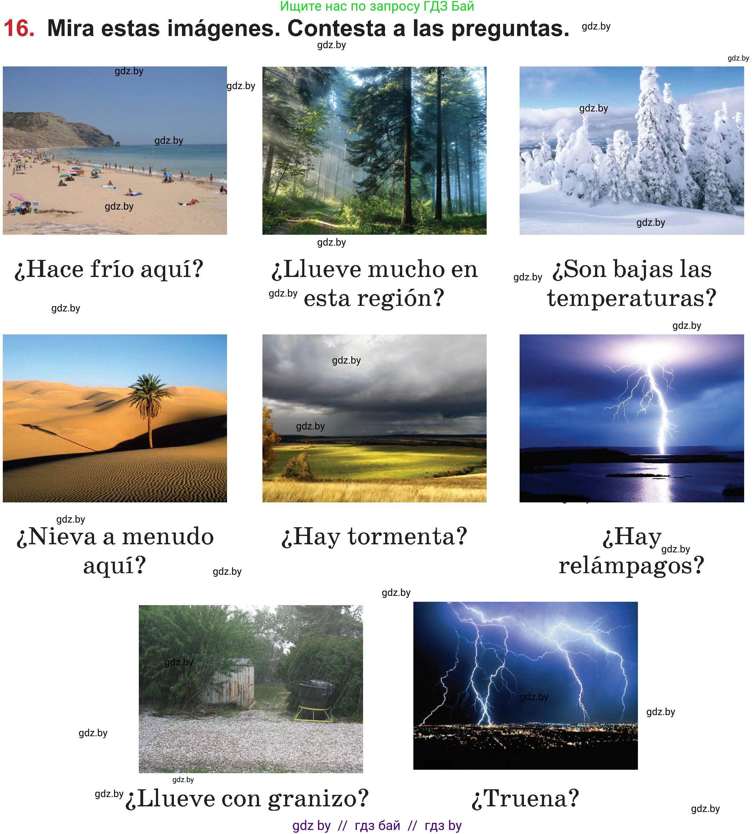 Испанский язык, 5 класс Учебник, авторы: Цыбулева Татьяна Эдуардовна, Пушкина Ольга Александровна, издательство Вышэйшая школа, Минск, 2017, оранжевого цвета, страница 25, номер 16, Условие