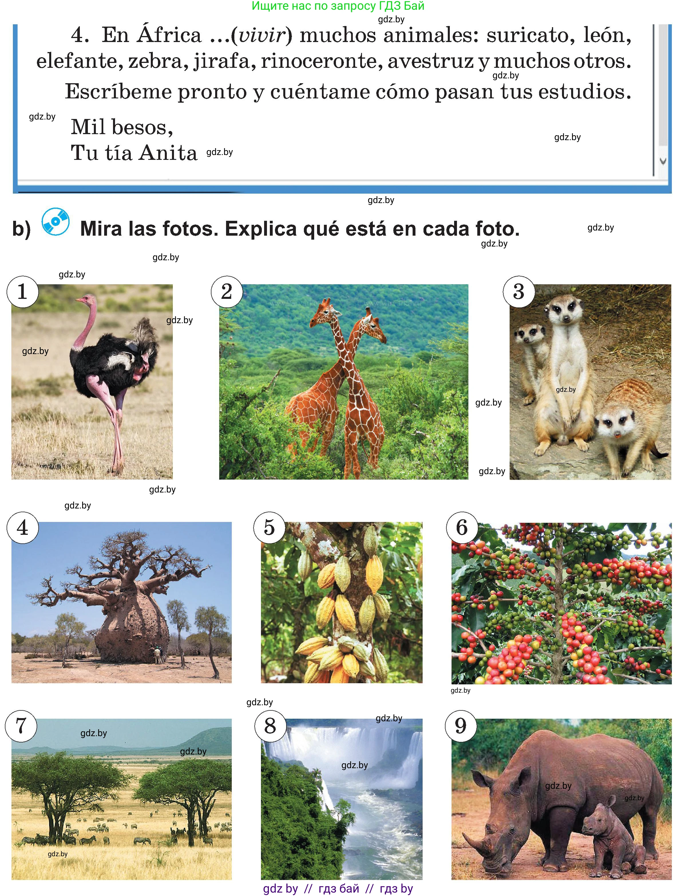 Испанский язык, 5 класс Учебник, авторы: Цыбулева Татьяна Эдуардовна, Пушкина Ольга Александровна, издательство Вышэйшая школа, Минск, 2017, оранжевого цвета, страница 29, номер 23, Условие (продолжение 2)