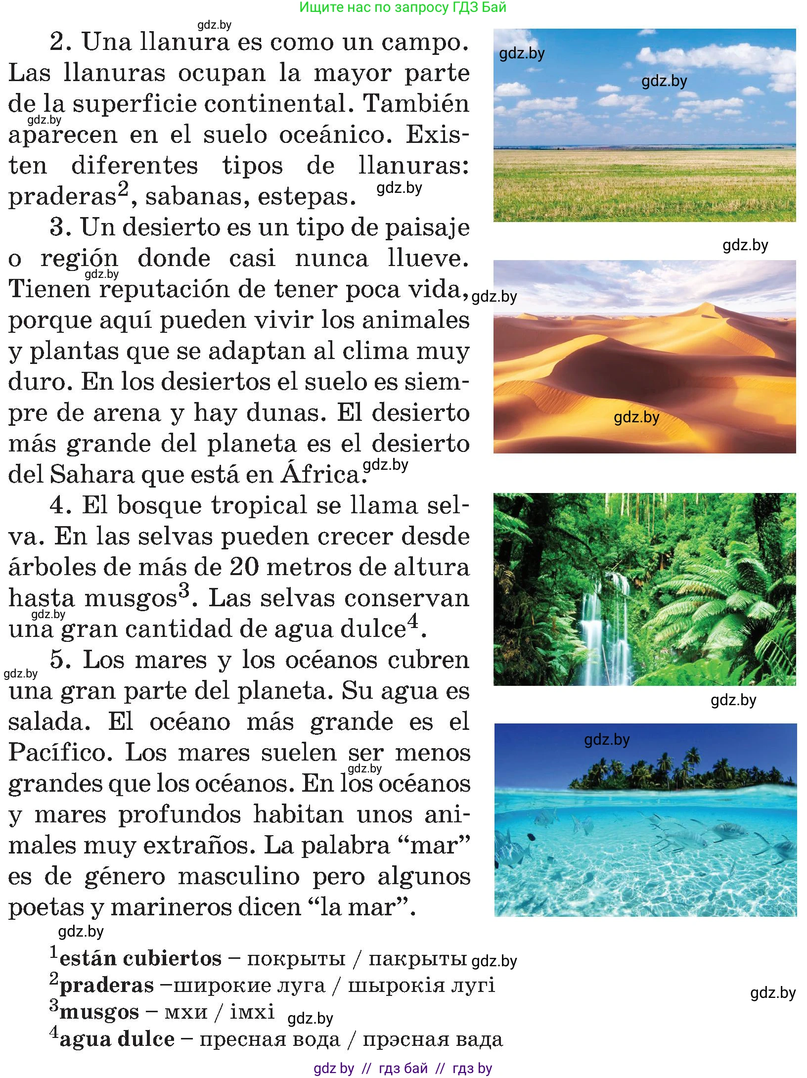 Испанский язык, 5 класс Учебник, авторы: Цыбулева Татьяна Эдуардовна, Пушкина Ольга Александровна, издательство Вышэйшая школа, Минск, 2017, оранжевого цвета, страница 19, номер 6, Условие (продолжение 2)