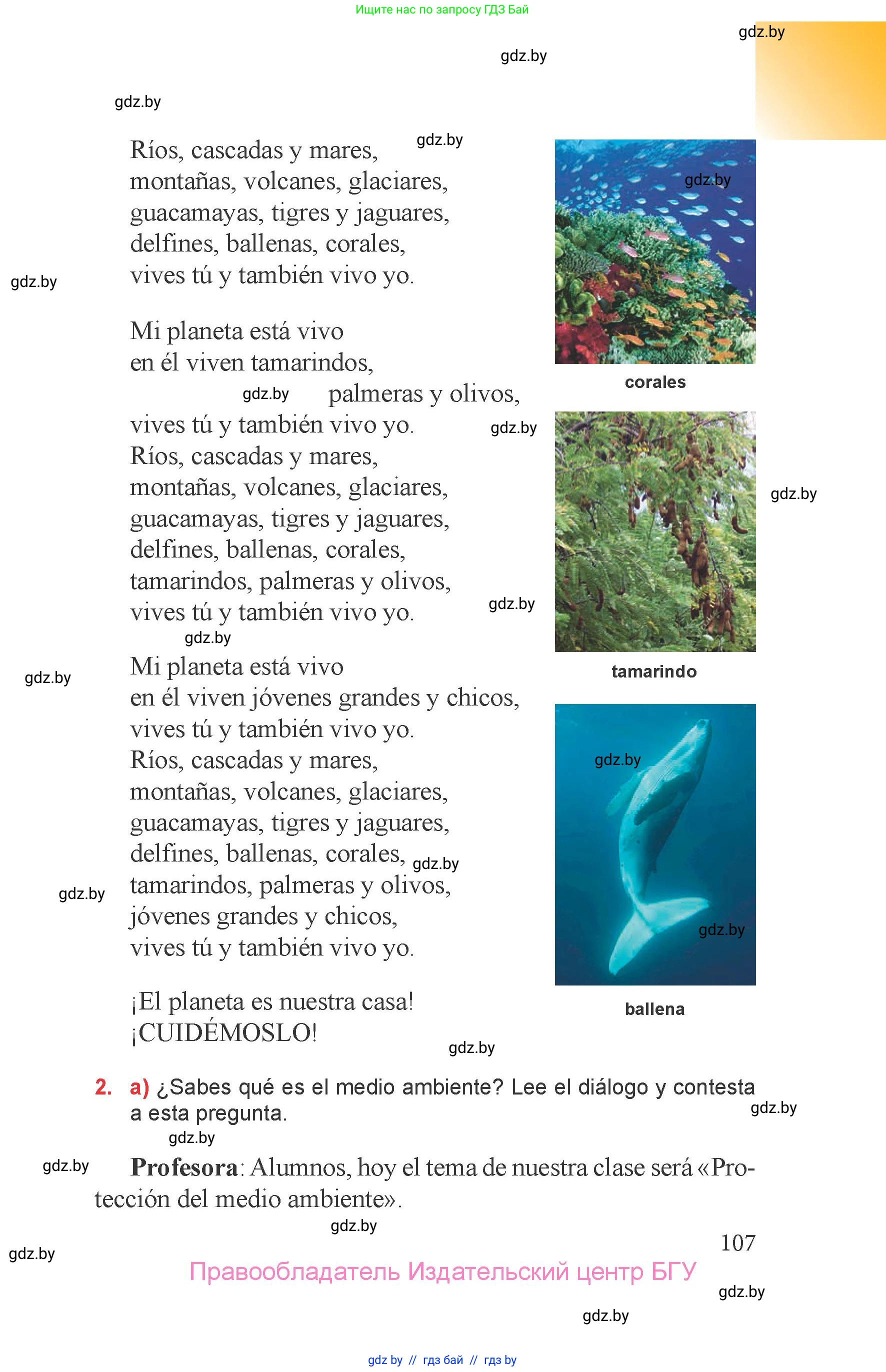 Испанский язык, 6 класс Учебник, авторы: Цыбулева Татьяна Эдуардовна, Пушкина Ольга Александровна, издательство Издательский центр БГУ, Минск, 2018, Часть 2, страница 107