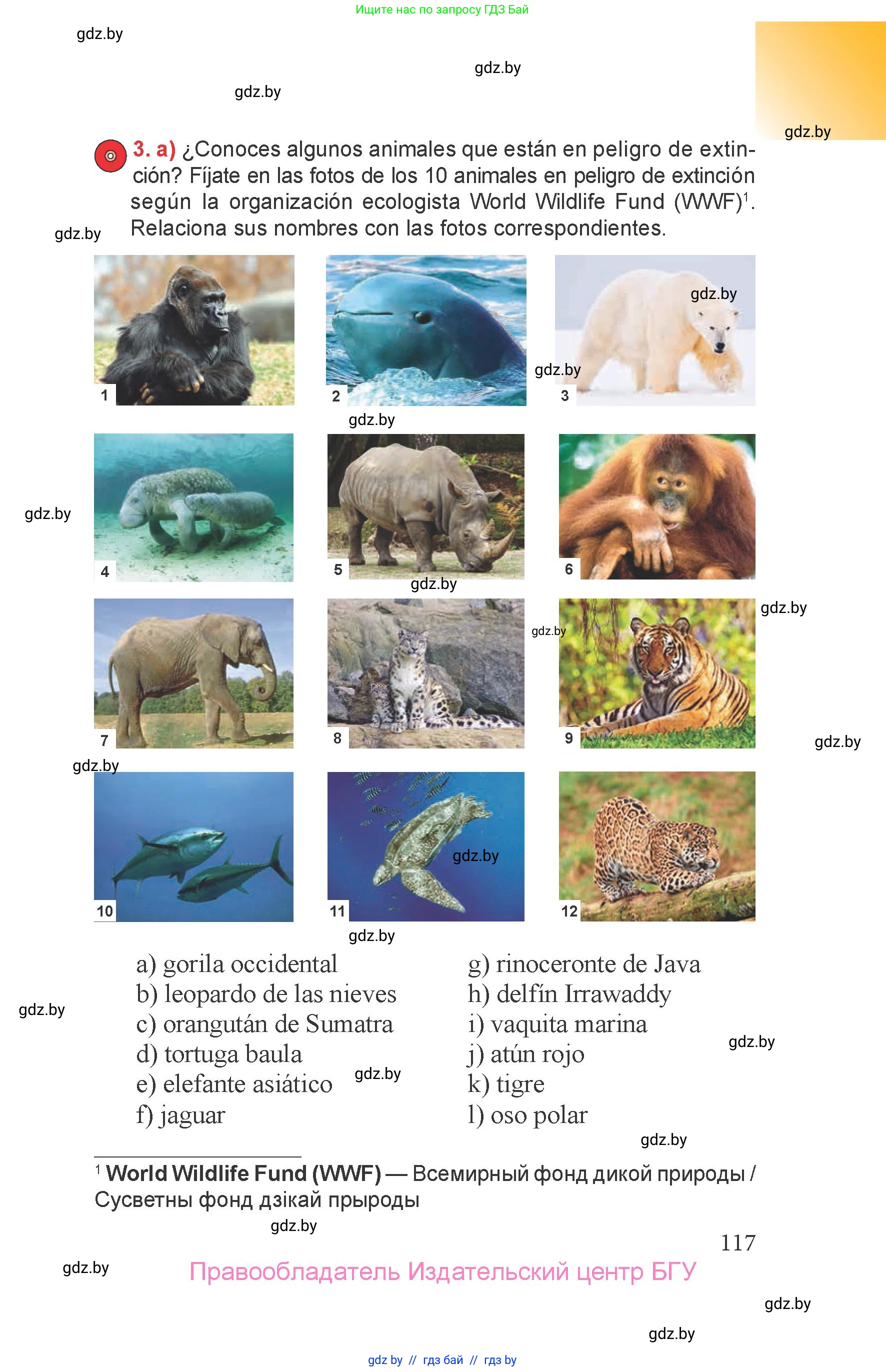 Испанский язык, 6 класс Учебник, авторы: Цыбулева Татьяна Эдуардовна, Пушкина Ольга Александровна, издательство Издательский центр БГУ, Минск, 2018, Часть 2, страница 117