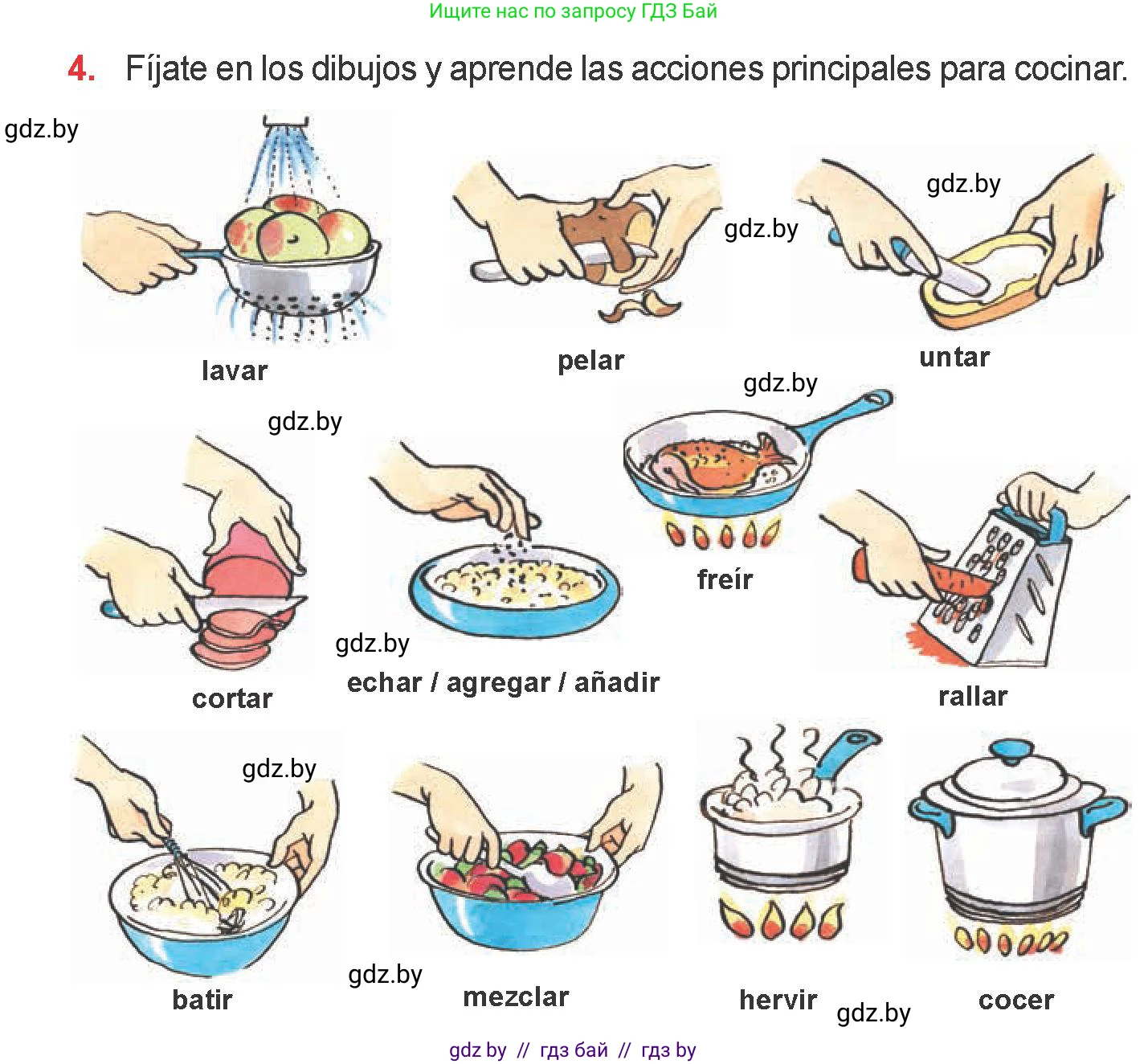 Испанский язык, 6 класс Учебник, авторы: Цыбулева Татьяна Эдуардовна, Пушкина Ольга Александровна, издательство Издательский центр БГУ, Минск, 2018, Часть 2, страница 36, номер 4, Условие