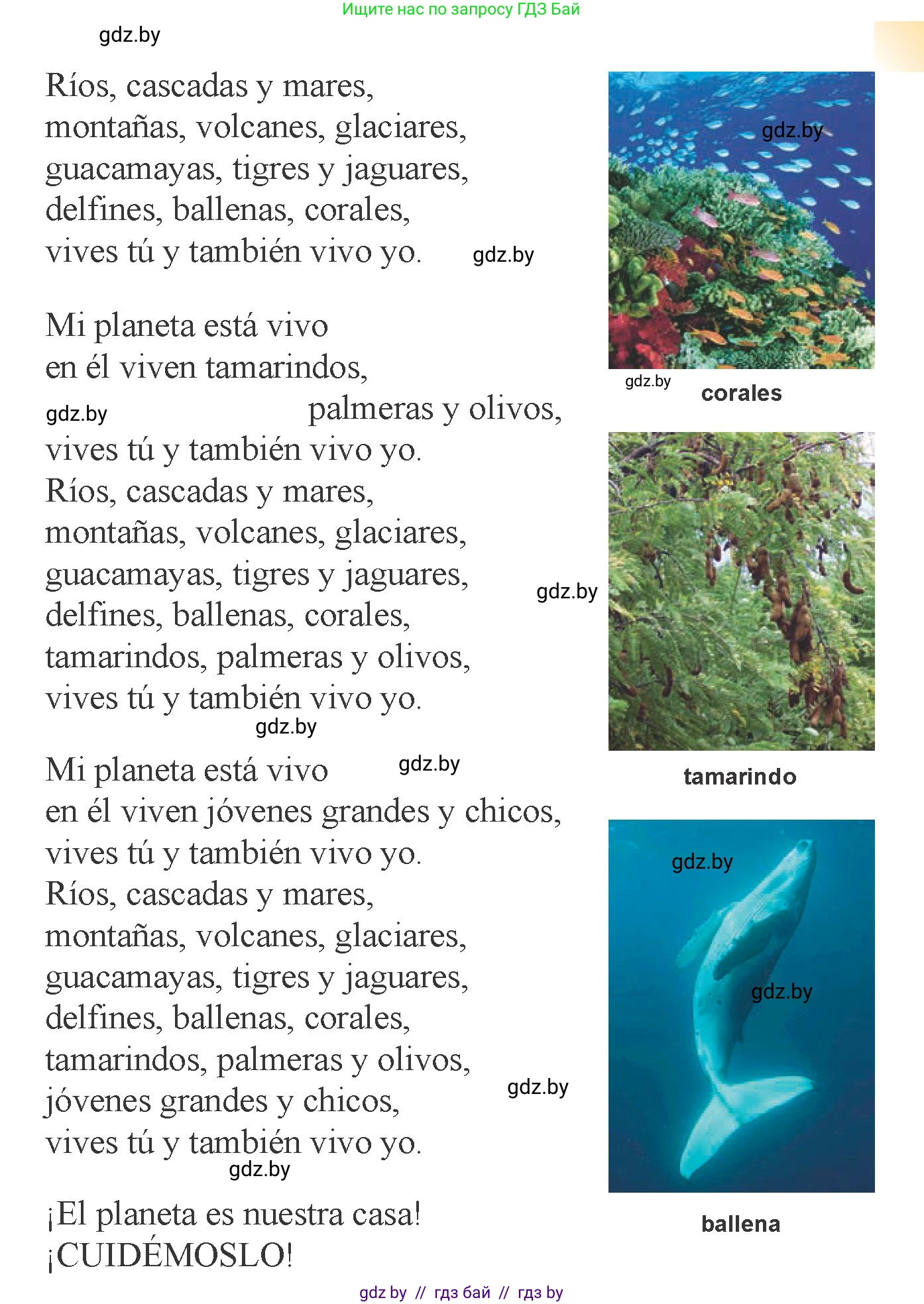 Испанский язык, 6 класс Учебник, авторы: Цыбулева Татьяна Эдуардовна, Пушкина Ольга Александровна, издательство Издательский центр БГУ, Минск, 2018, Часть 2, страница 106, номер 1, Условие (продолжение 2)