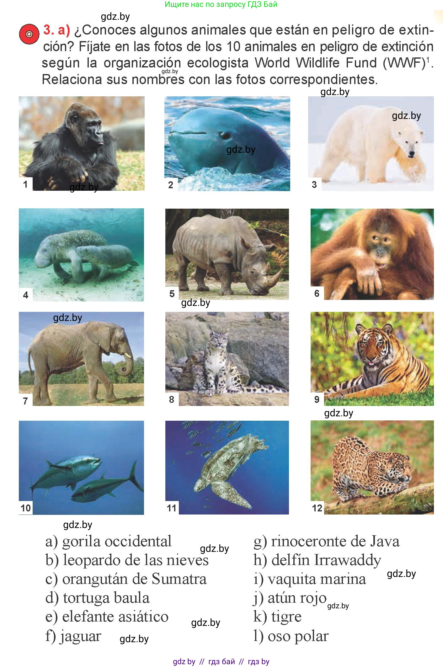 Испанский язык, 6 класс Учебник, авторы: Цыбулева Татьяна Эдуардовна, Пушкина Ольга Александровна, издательство Издательский центр БГУ, Минск, 2018, Часть 2, страница 117, номер 3, Условие