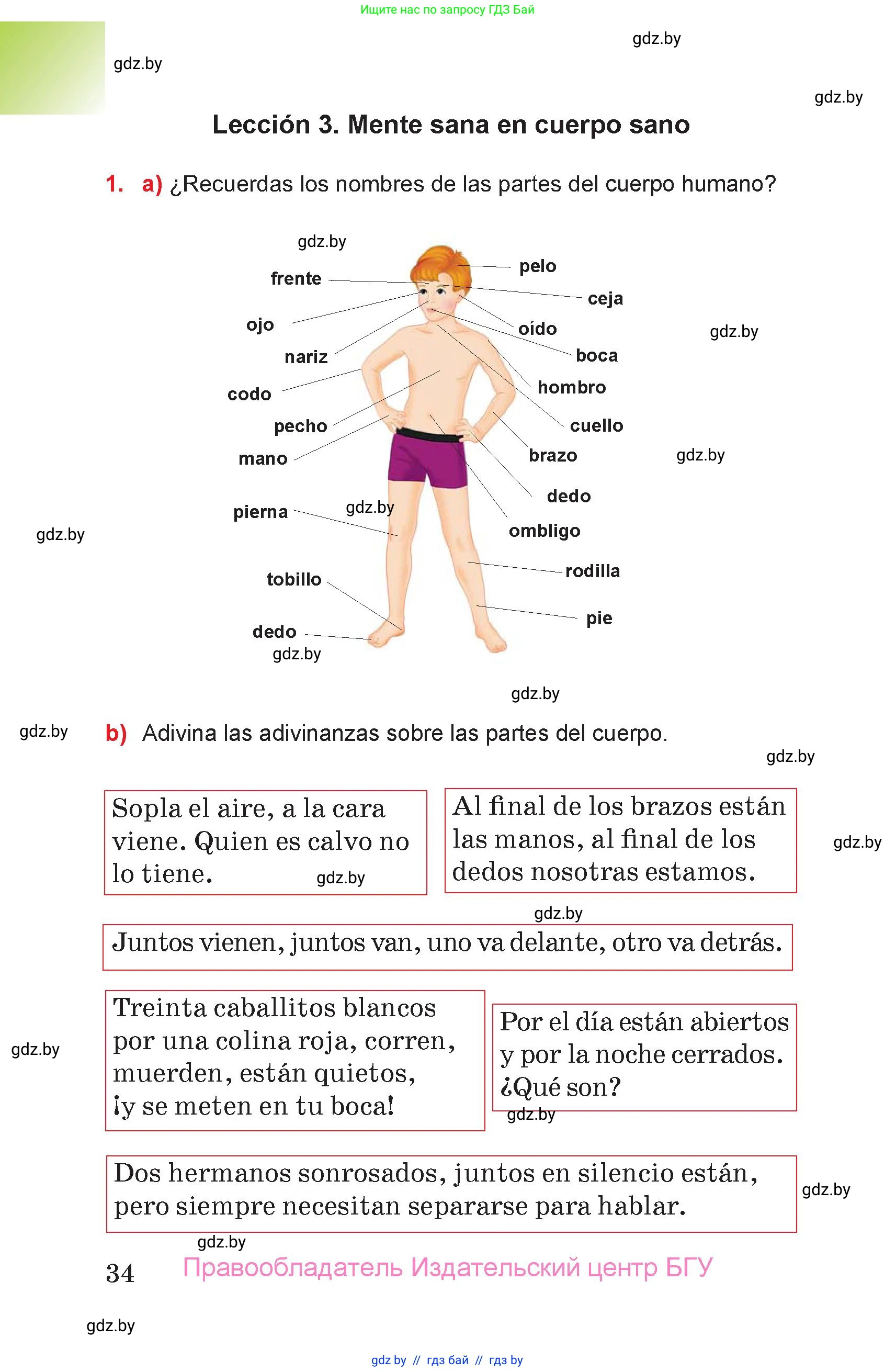 Испанский язык, 7 класс Учебник, авторы: Цыбулева Татьяна Эдуардовна, Пушкина Ольга Александровна, Карпиевич Галина Константиновна, издательство Издательский центр БГУ, Минск, 2019, бирюзового цвета, Часть 2, страница 34
