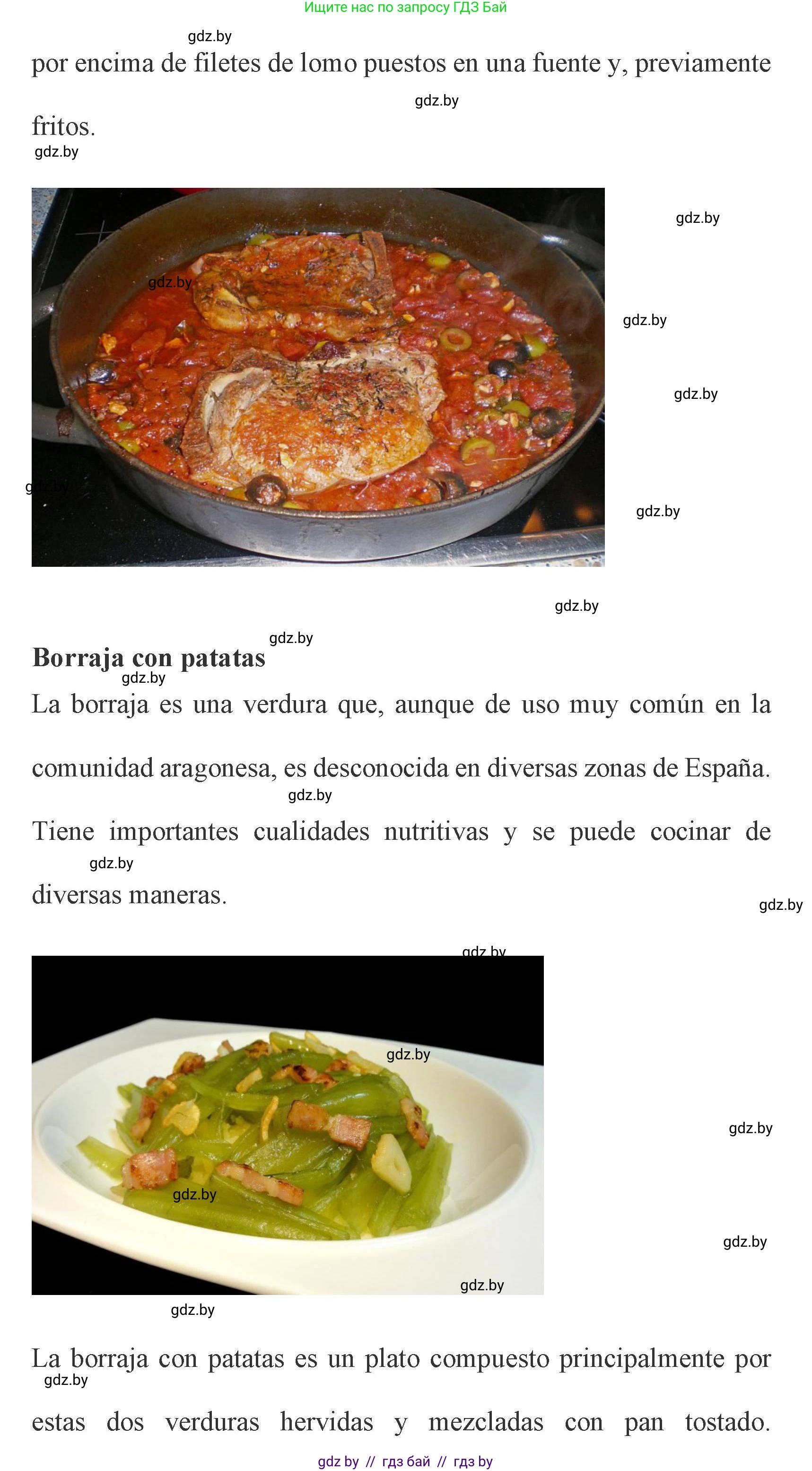 Испанский язык, 8 класс Учебник, автор: Гриневич Елена Карловна, издательство Вышэйшая школа, Минск, 2011, оранжевого цвета, страница 207, Решение (продолжение 8)